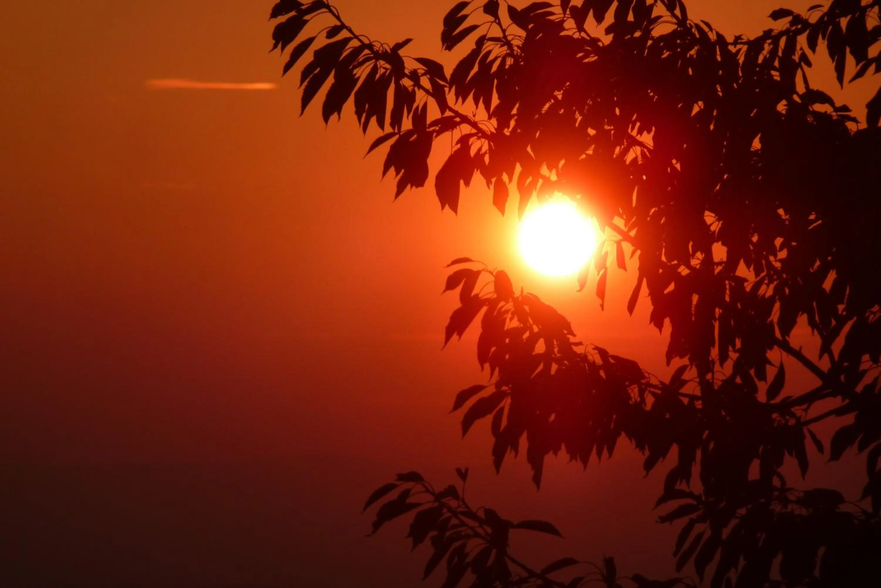 Natural landscape in Studio Elegant