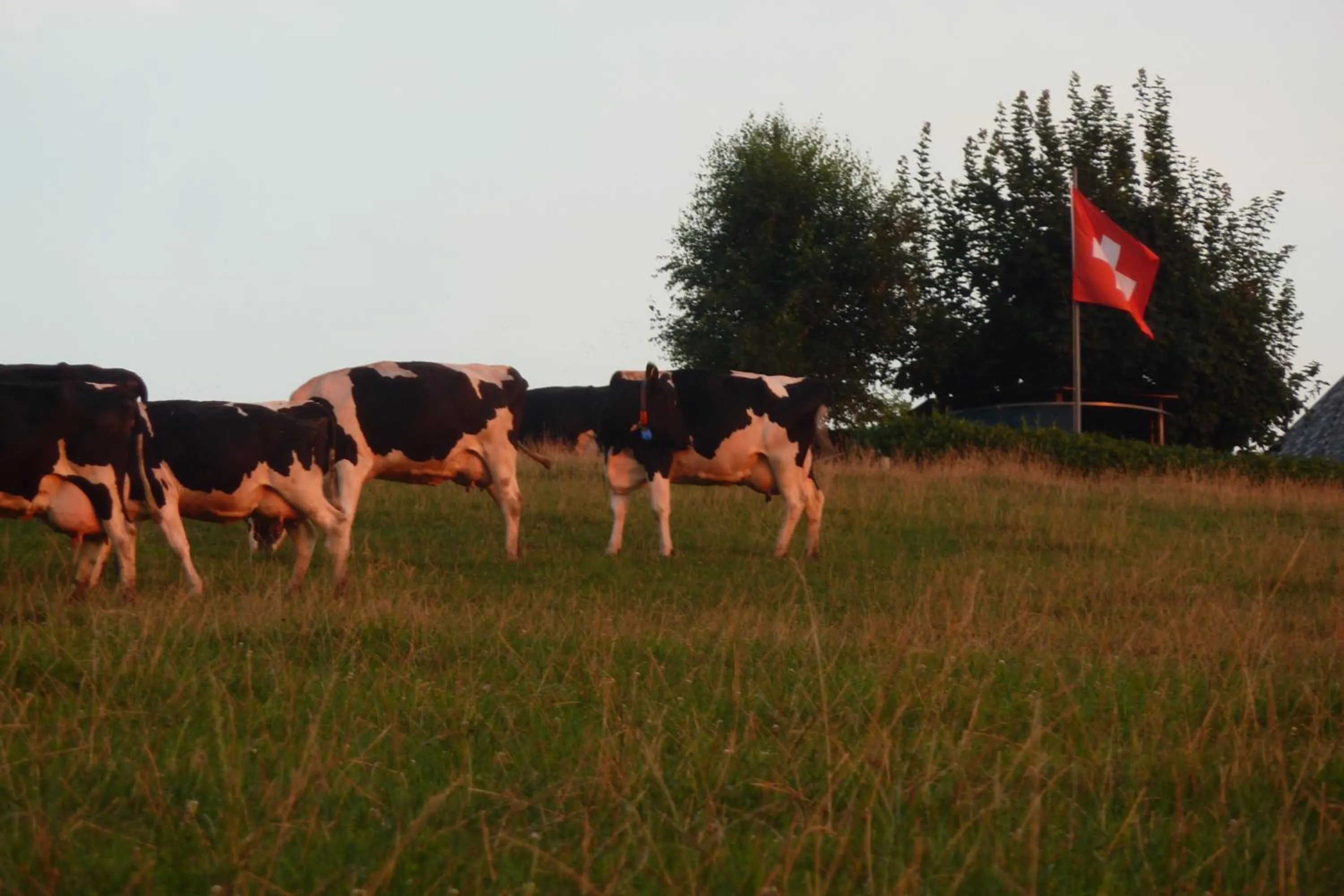Nearby landmark in Studio Elegant