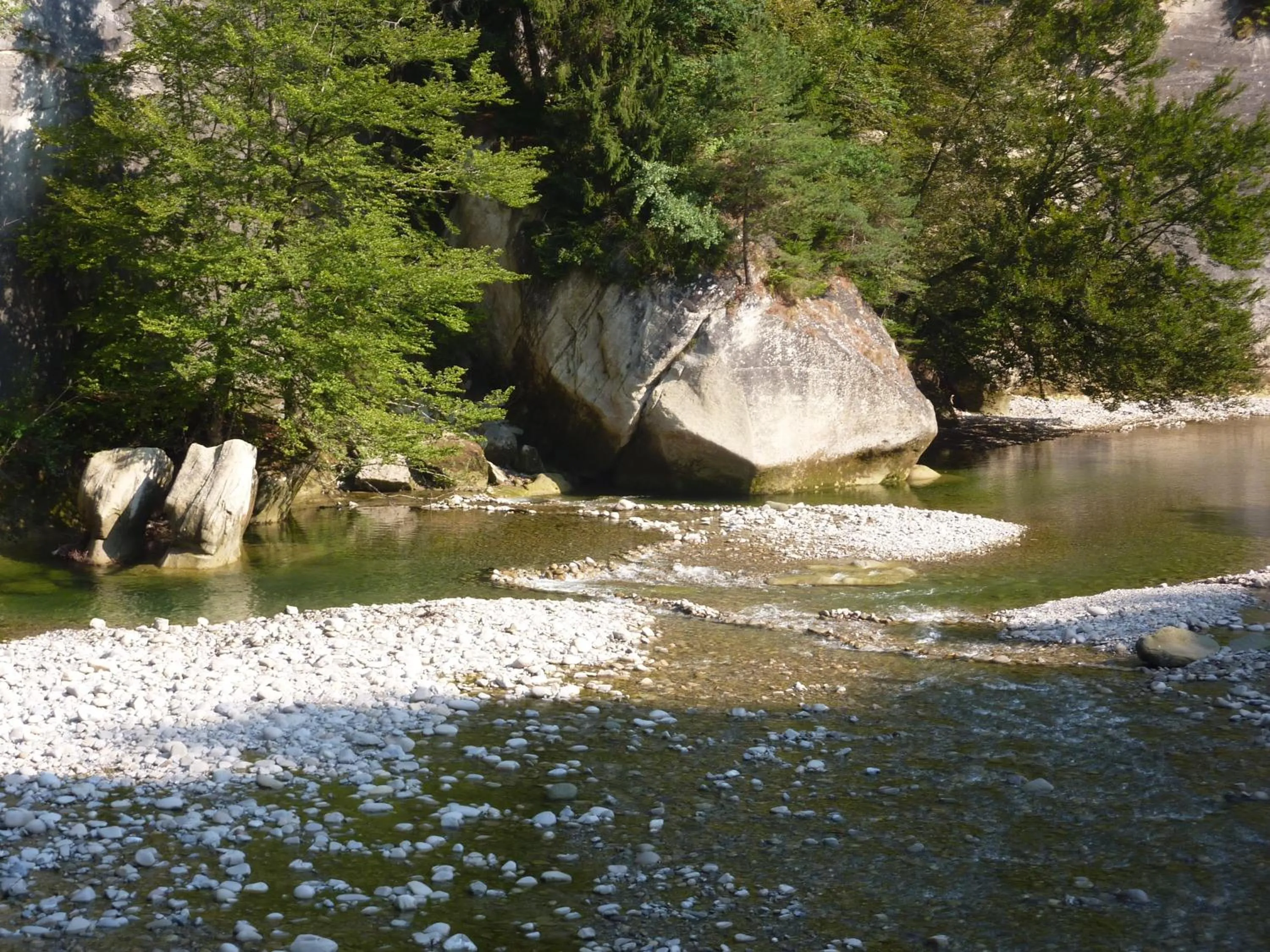 Fishing in Studio Elegant