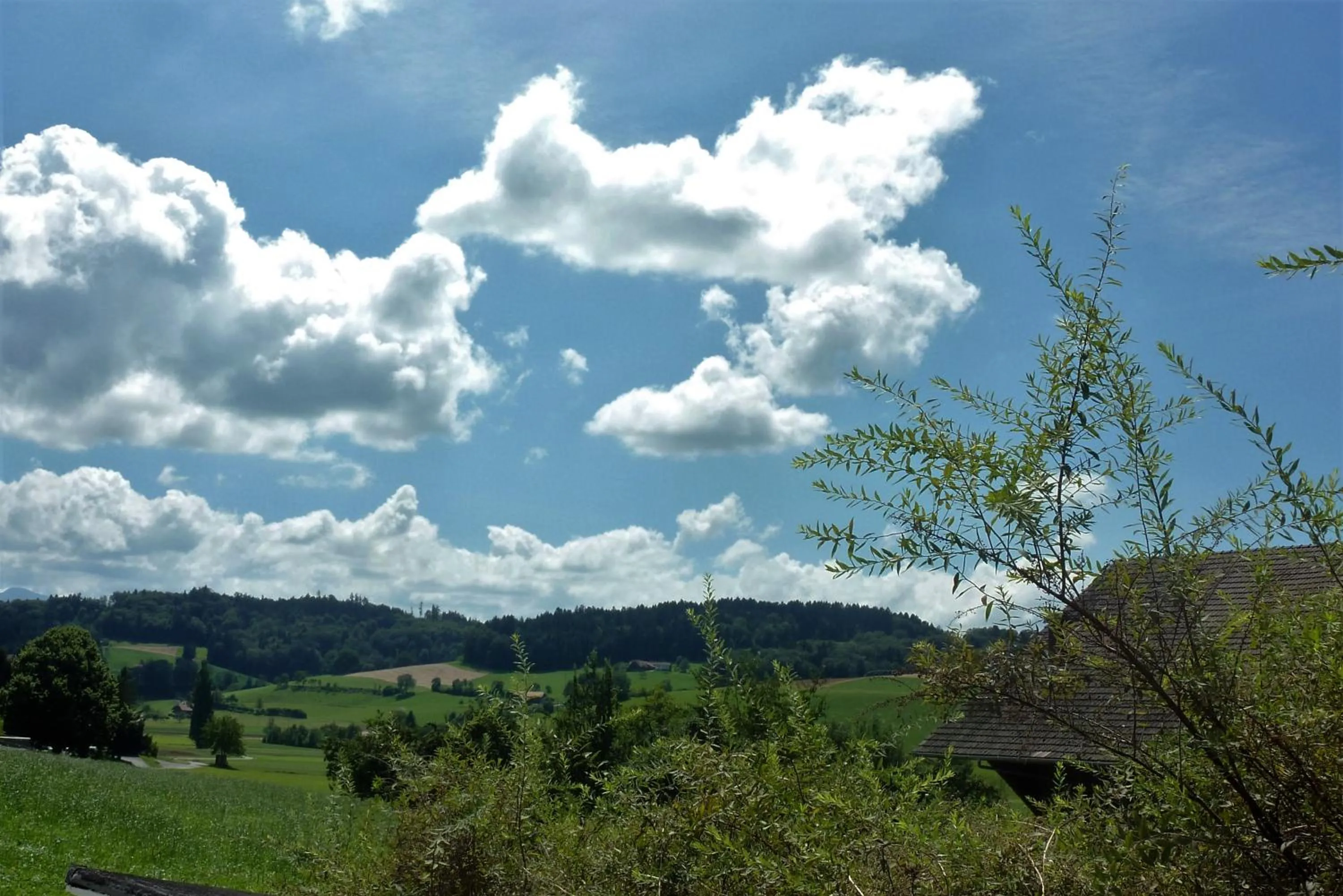 Area and facilities in Studio Elegant