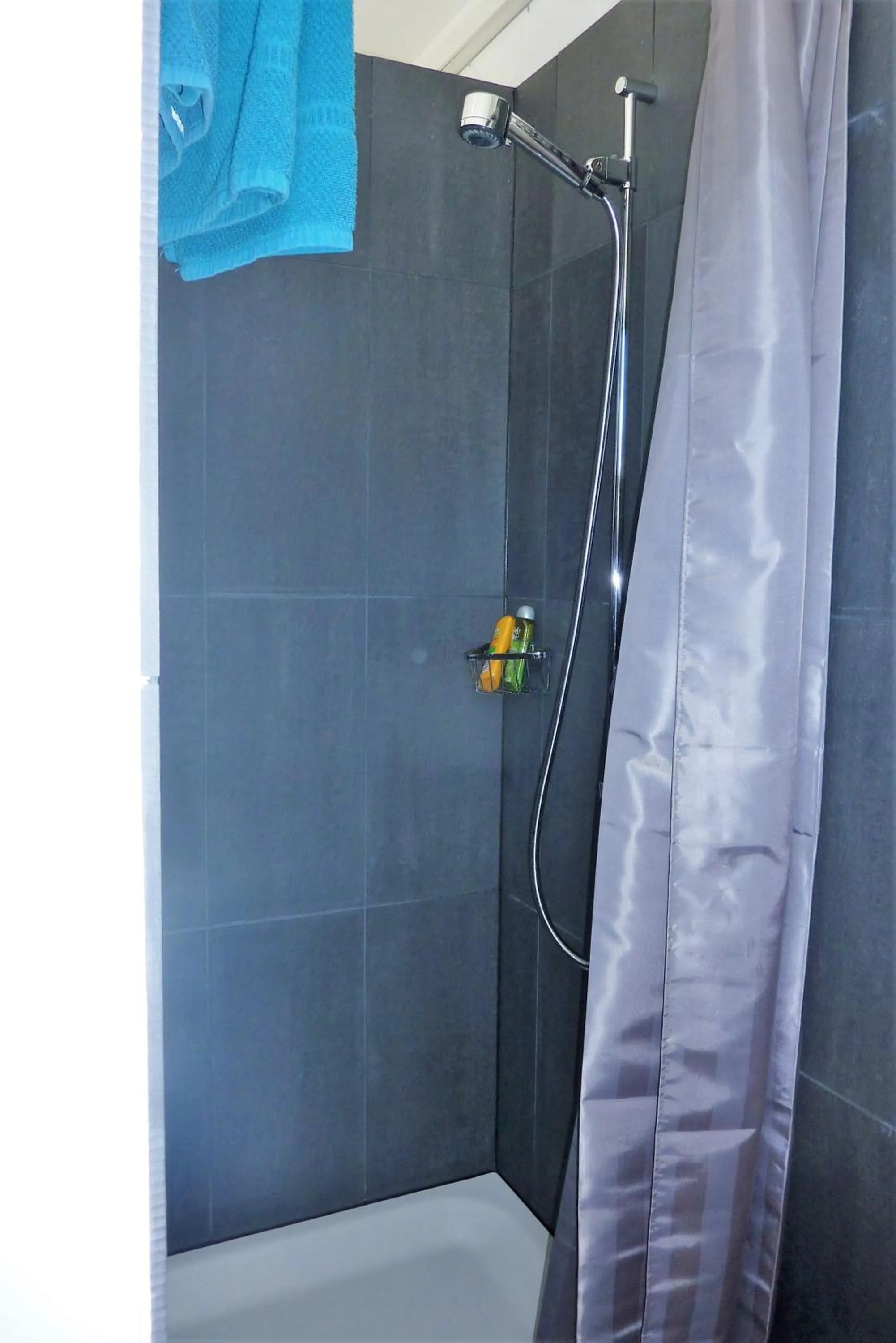 Shower in Studio Elegant