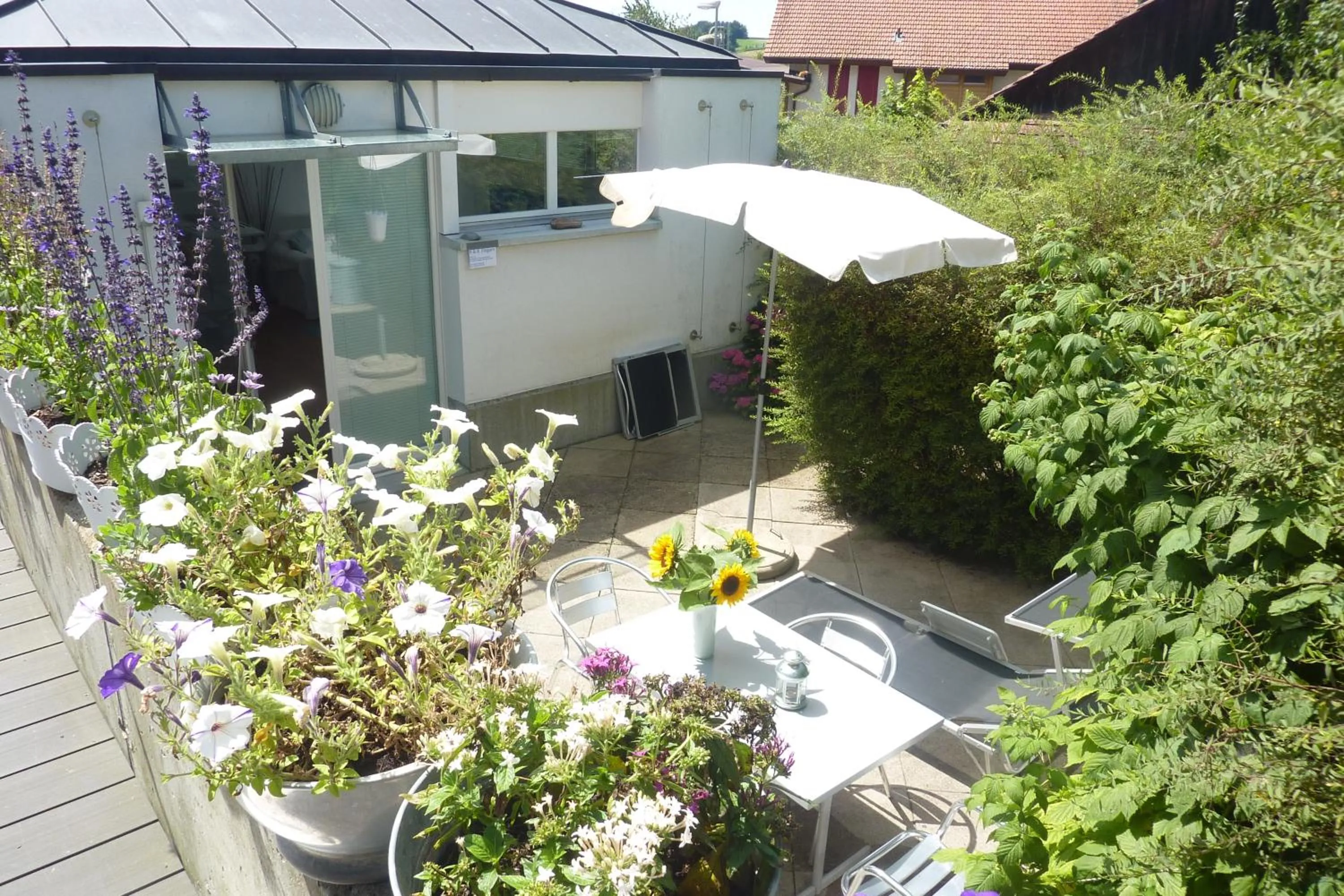 Patio in Studio Elegant