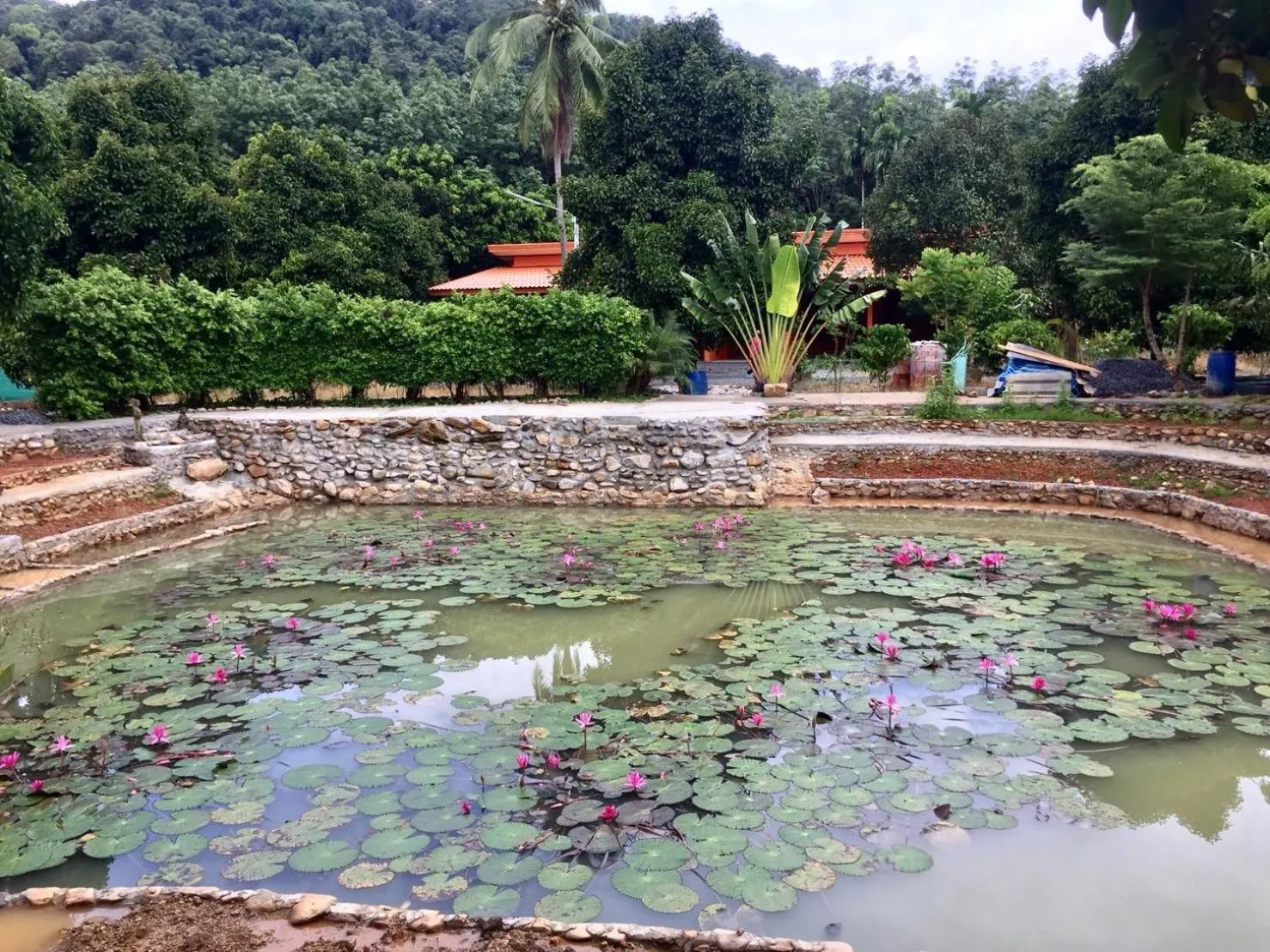 Natural landscape in At Sichon Resort