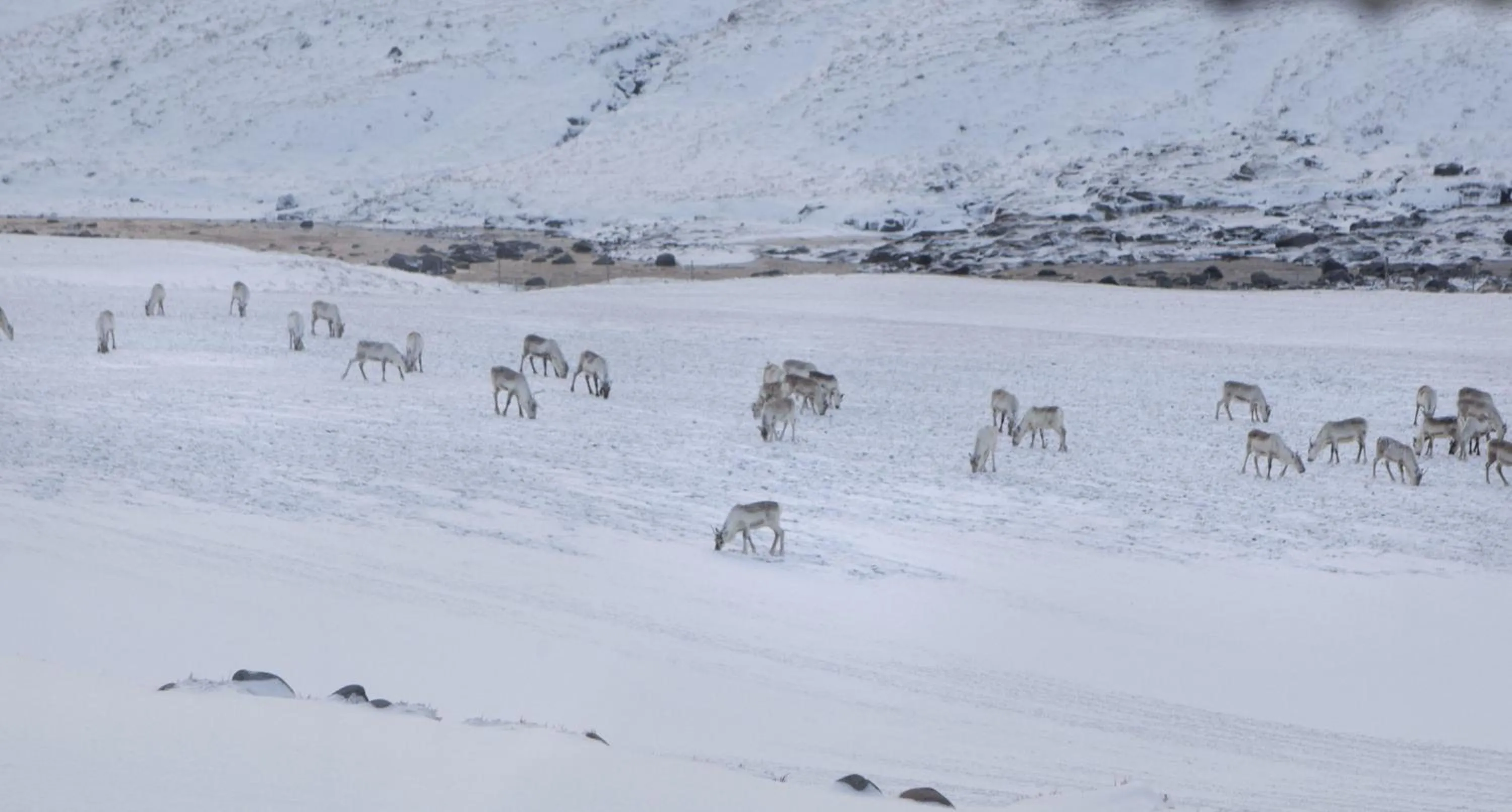 Natural landscape in Wilderness Center / Óbyggðasetur Íslands