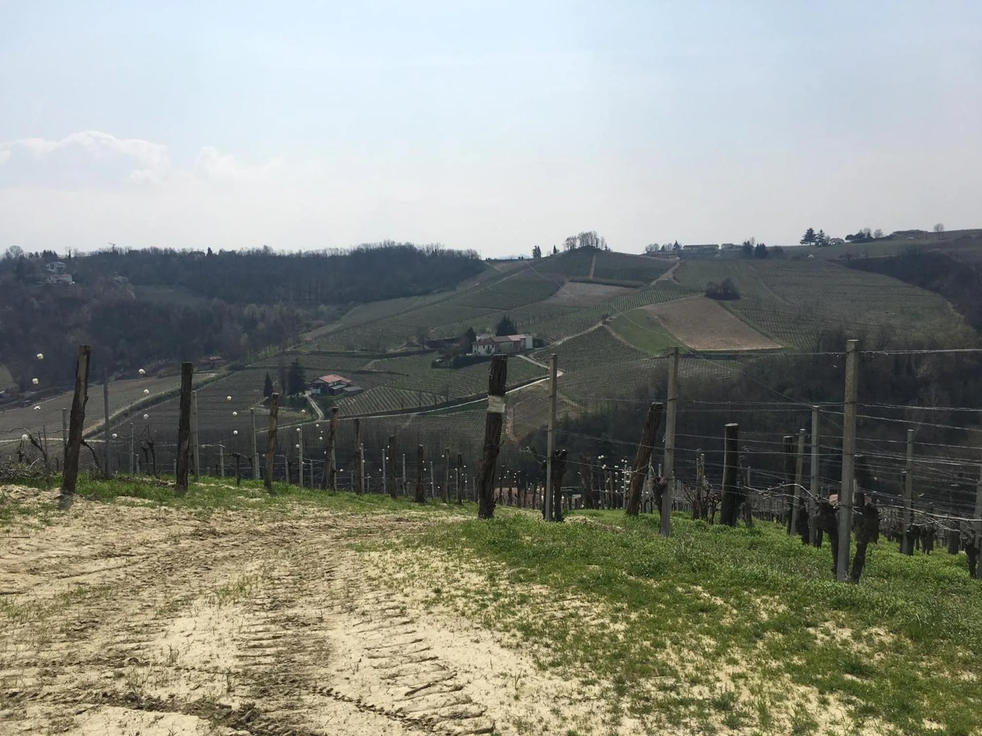 Natural landscape in Albergo Rondò