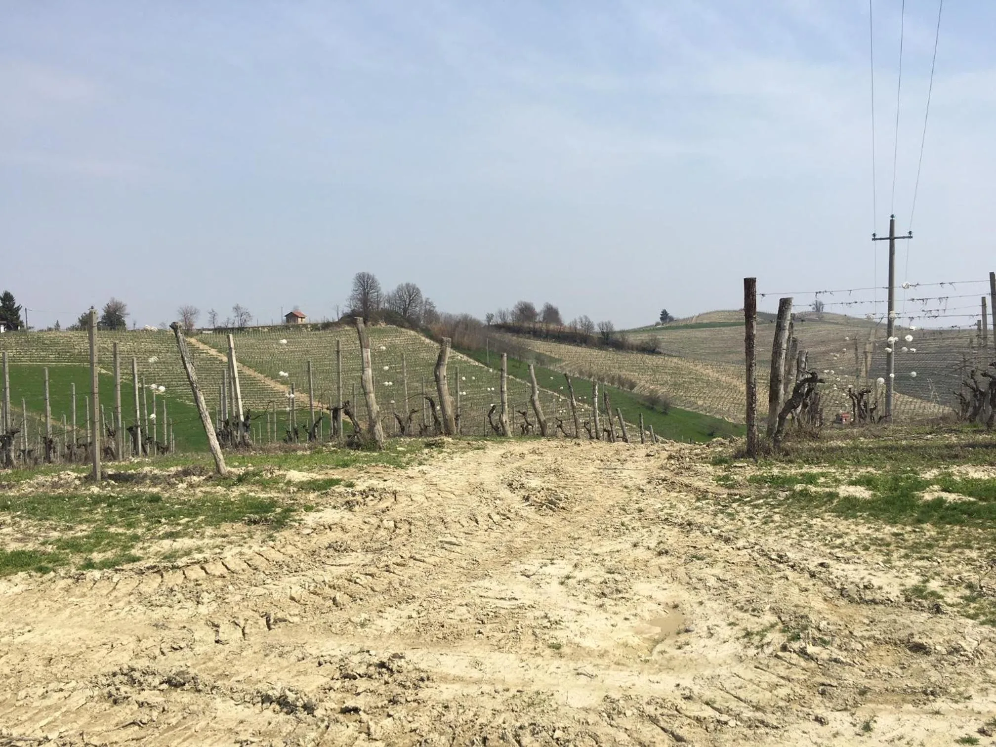 Nearby landmark in Albergo Rondò