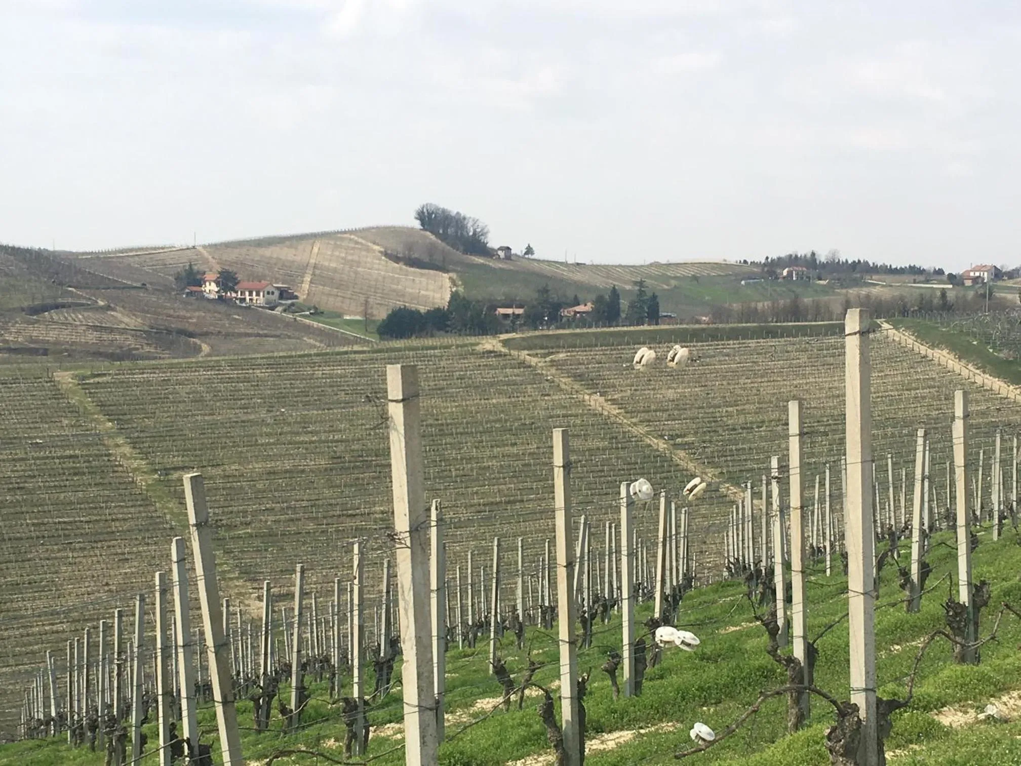 Nearby landmark in Albergo Rondò
