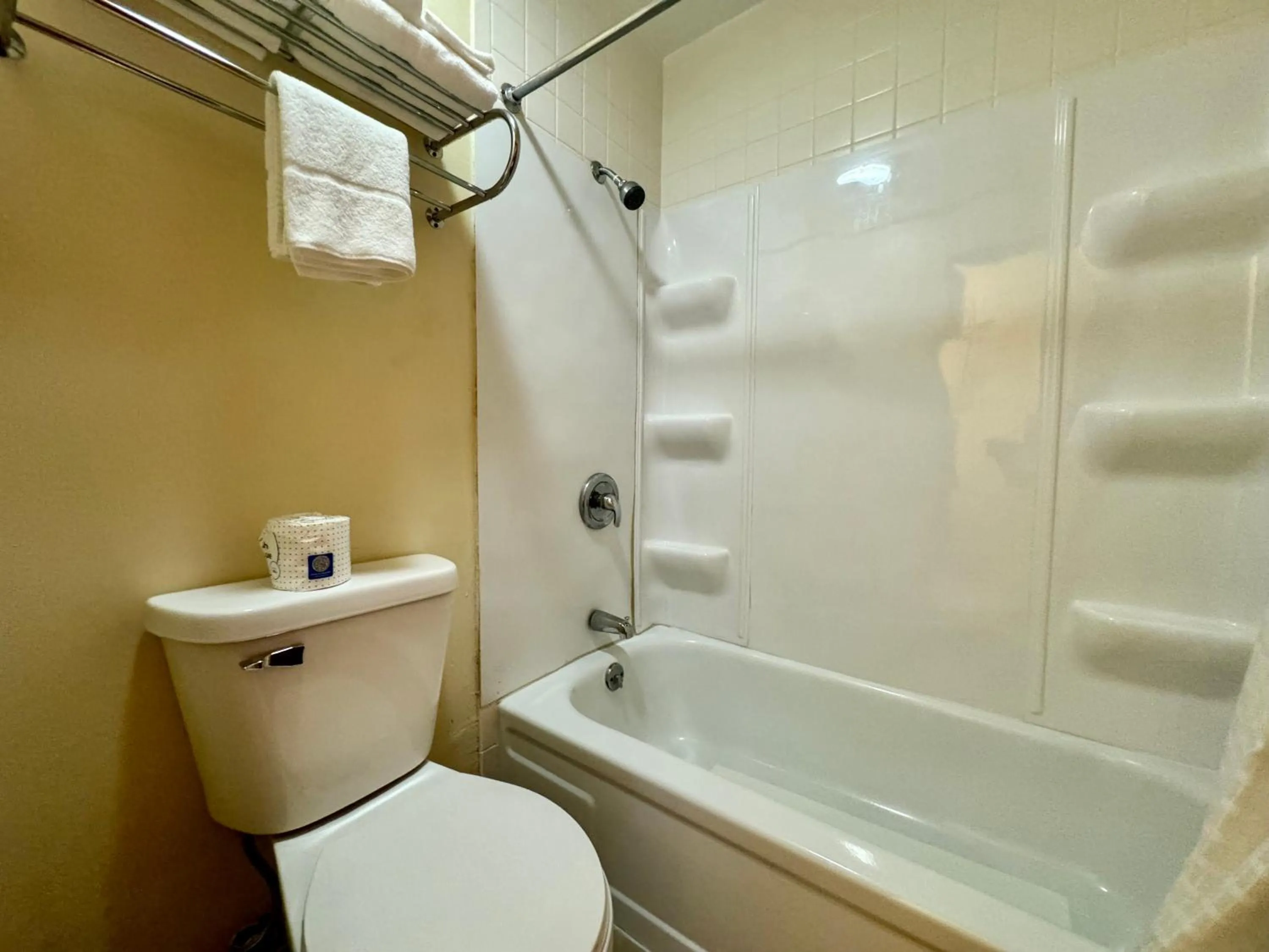 Toilet in FairBridge Inn Express Hiawatha