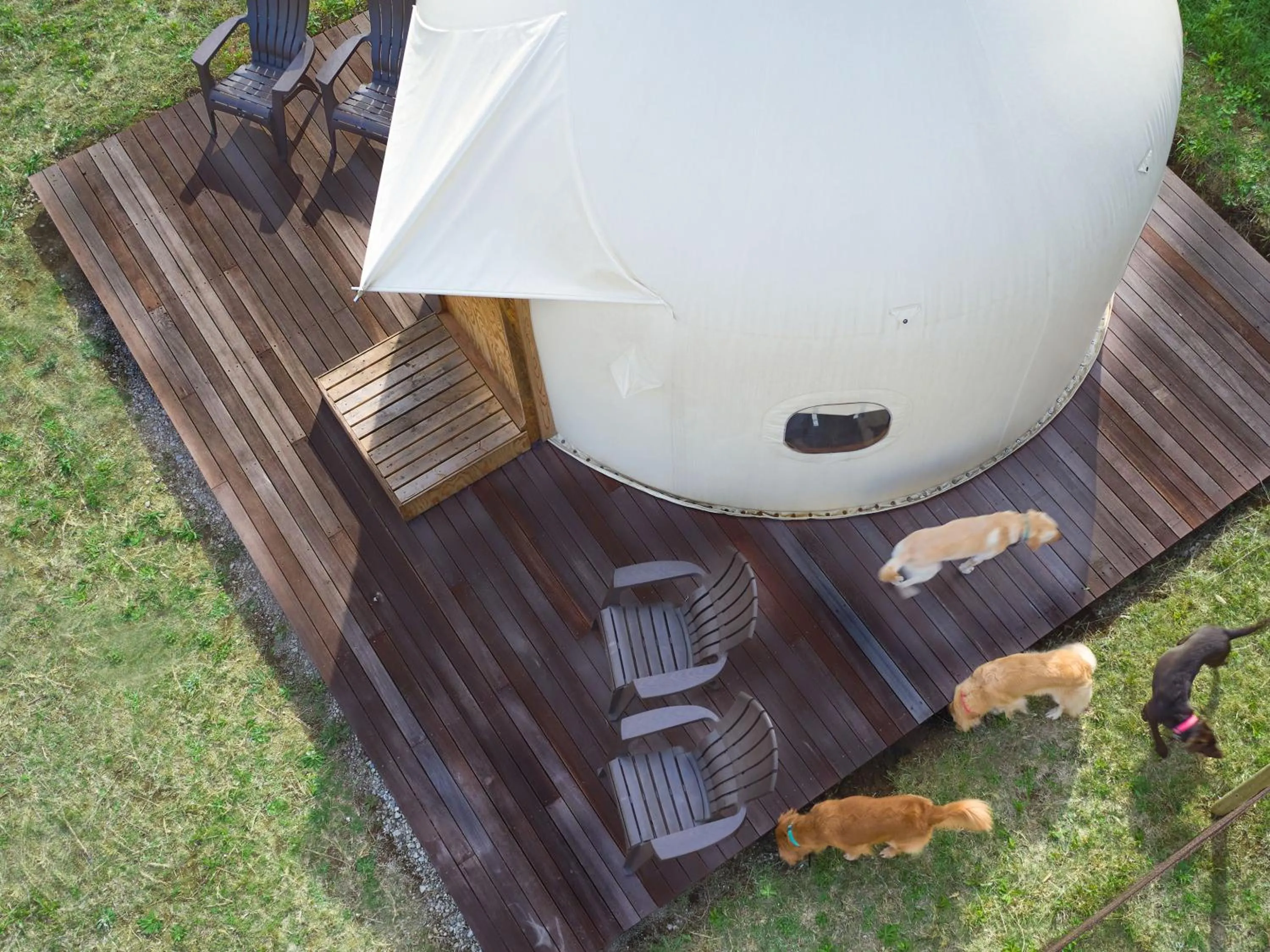 Garden in Koyaru-no-sato Doggys Island