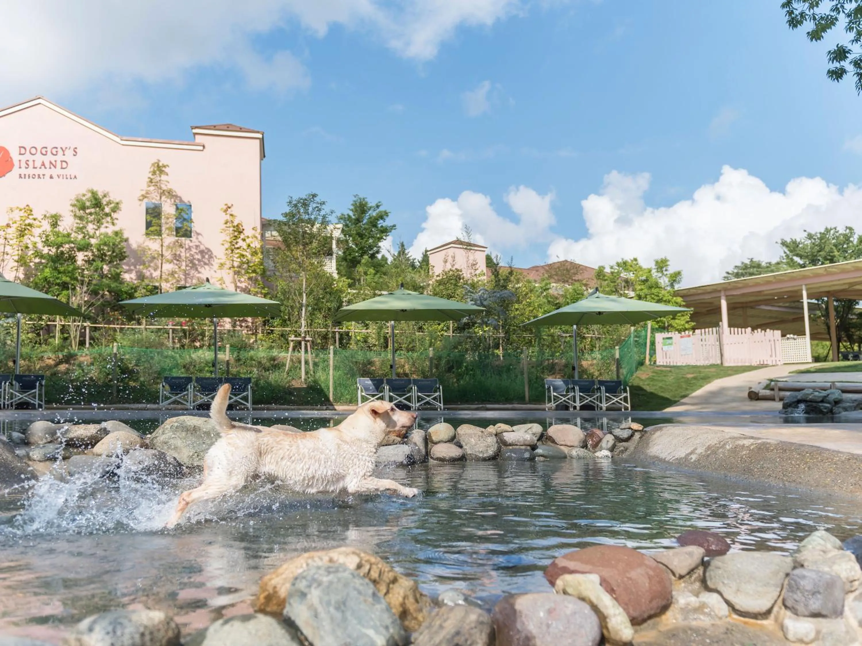 Garden in Koyaru-no-sato Doggys Island