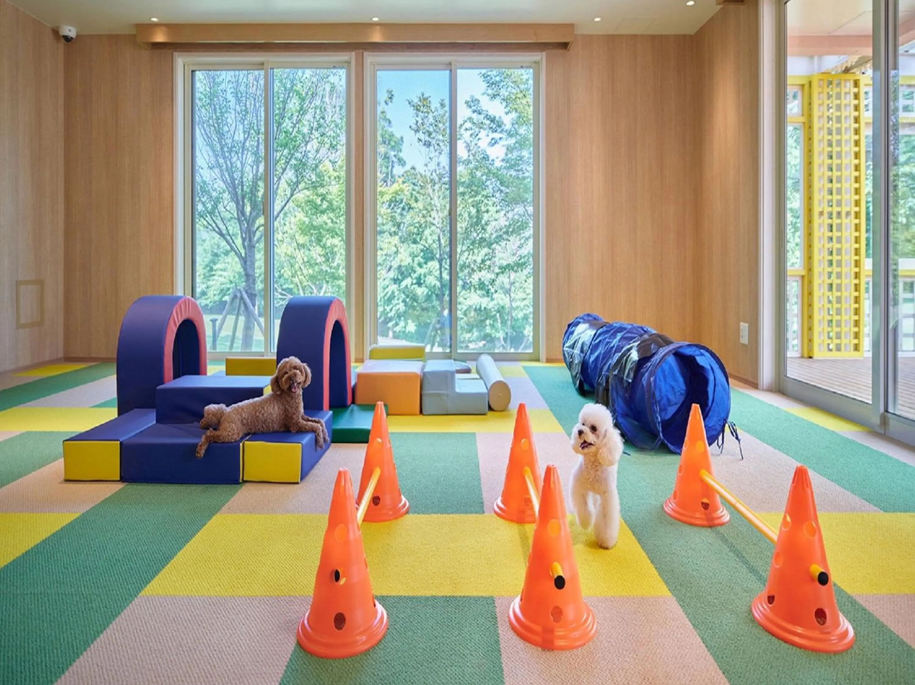 Animals in Koyaru-no-sato Doggys Island