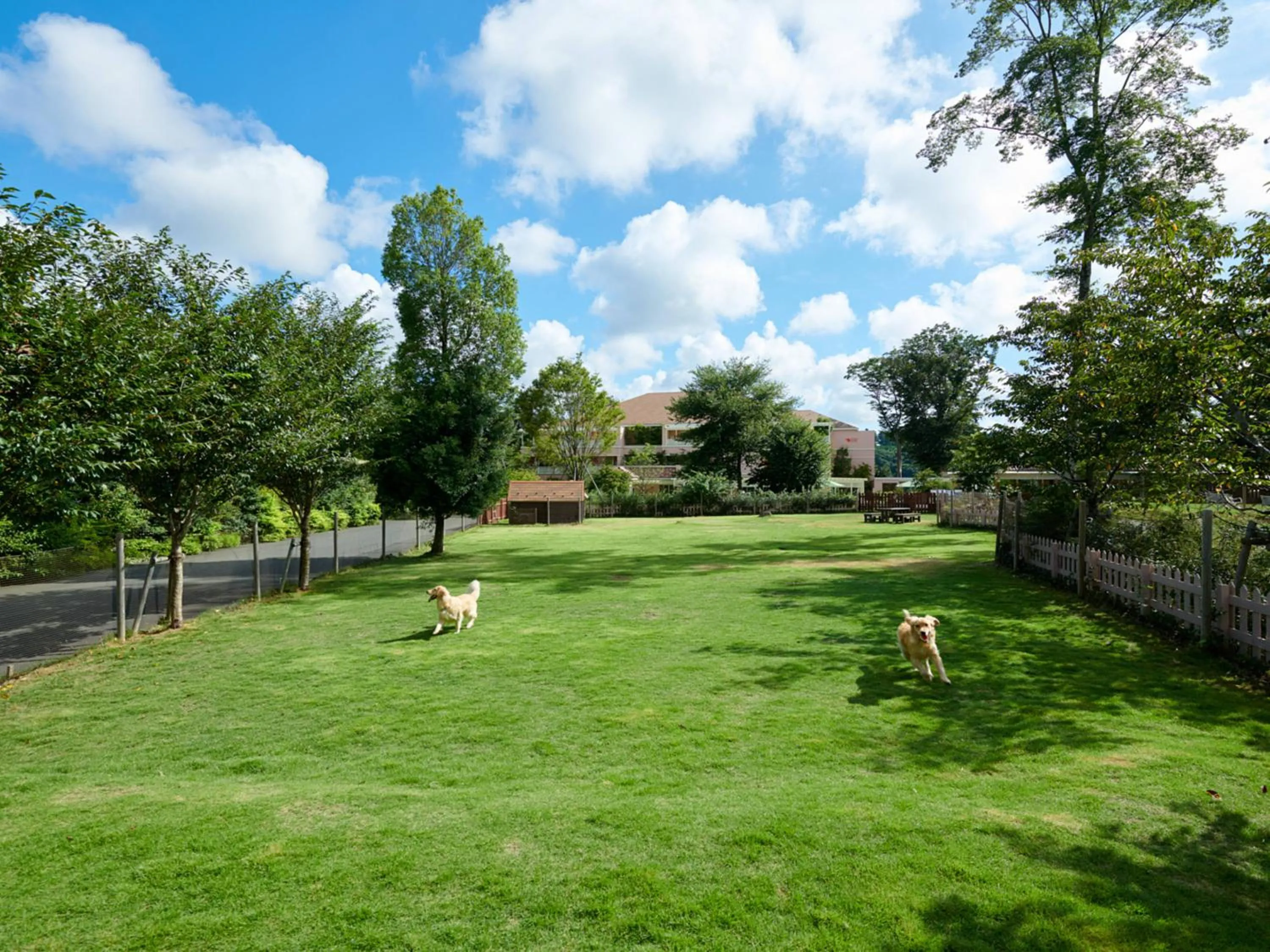Garden in Koyaru-no-sato Doggys Island