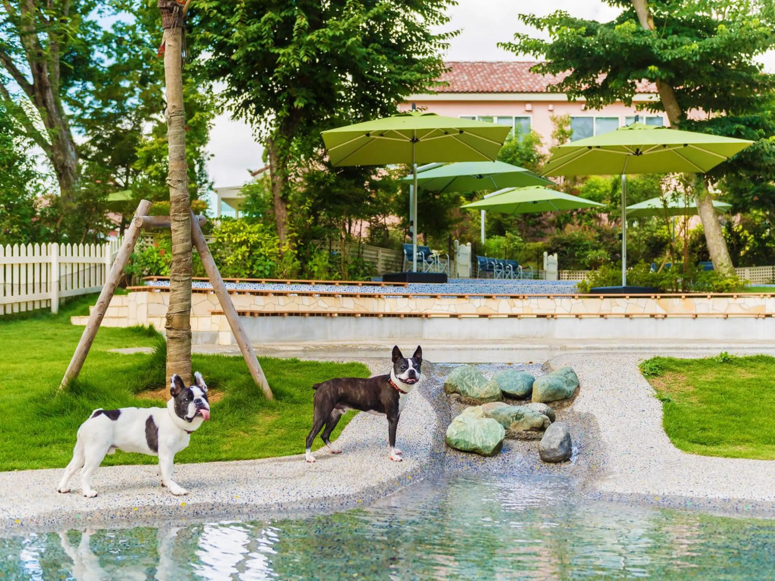 Garden in Koyaru-no-sato Doggys Island