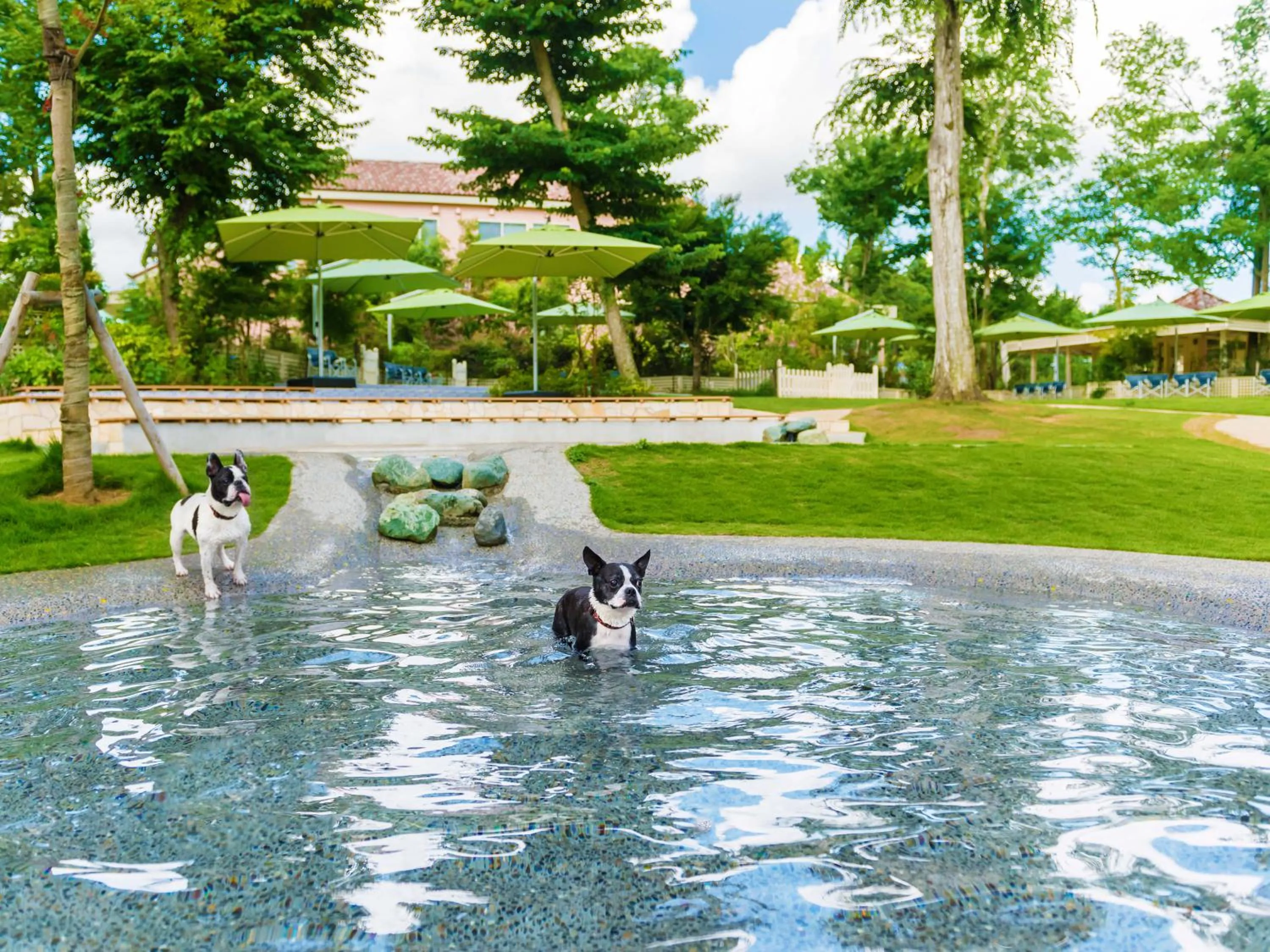 Garden in Koyaru-no-sato Doggys Island