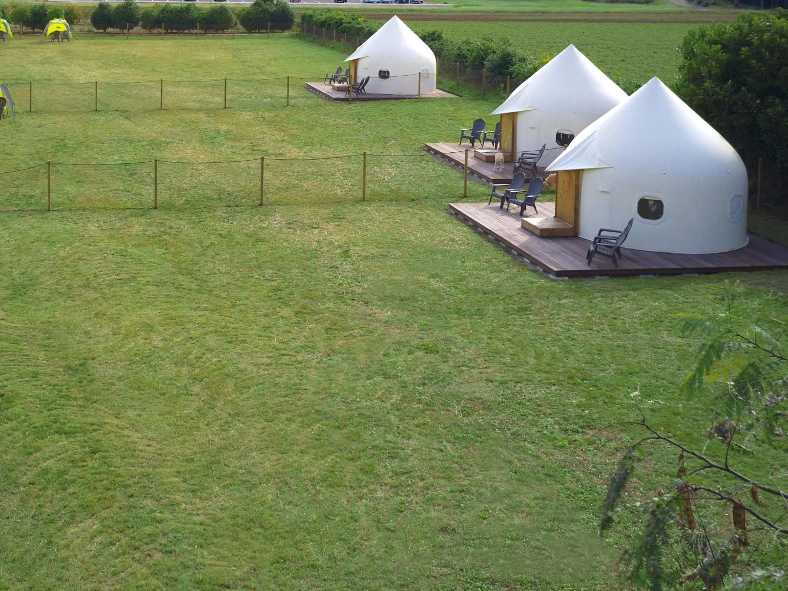 Garden in Koyaru-no-sato Doggys Island