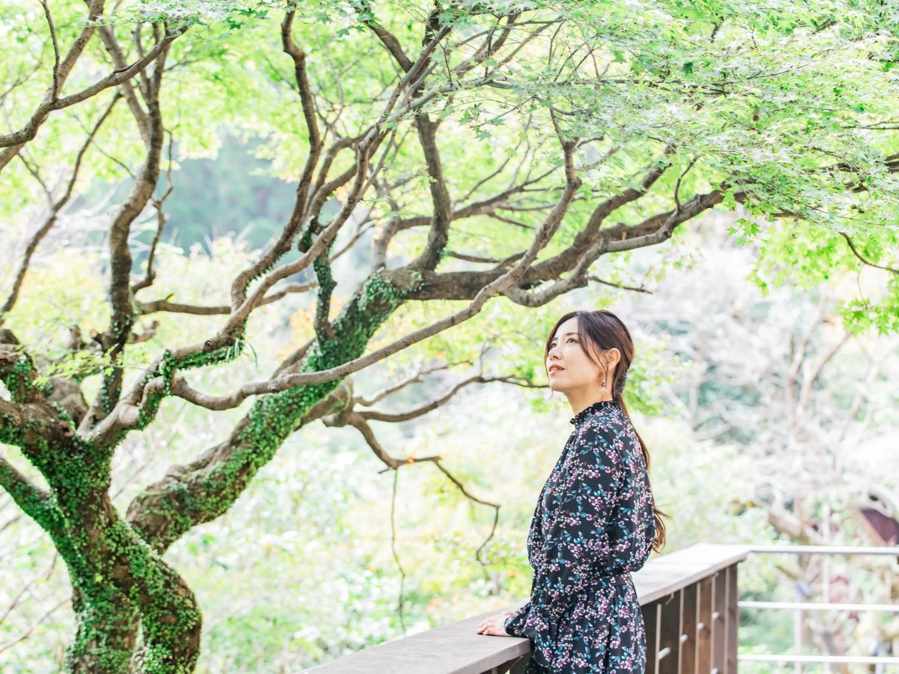 Balcony/Terrace in Kirishima Momijidani Seiryuso
