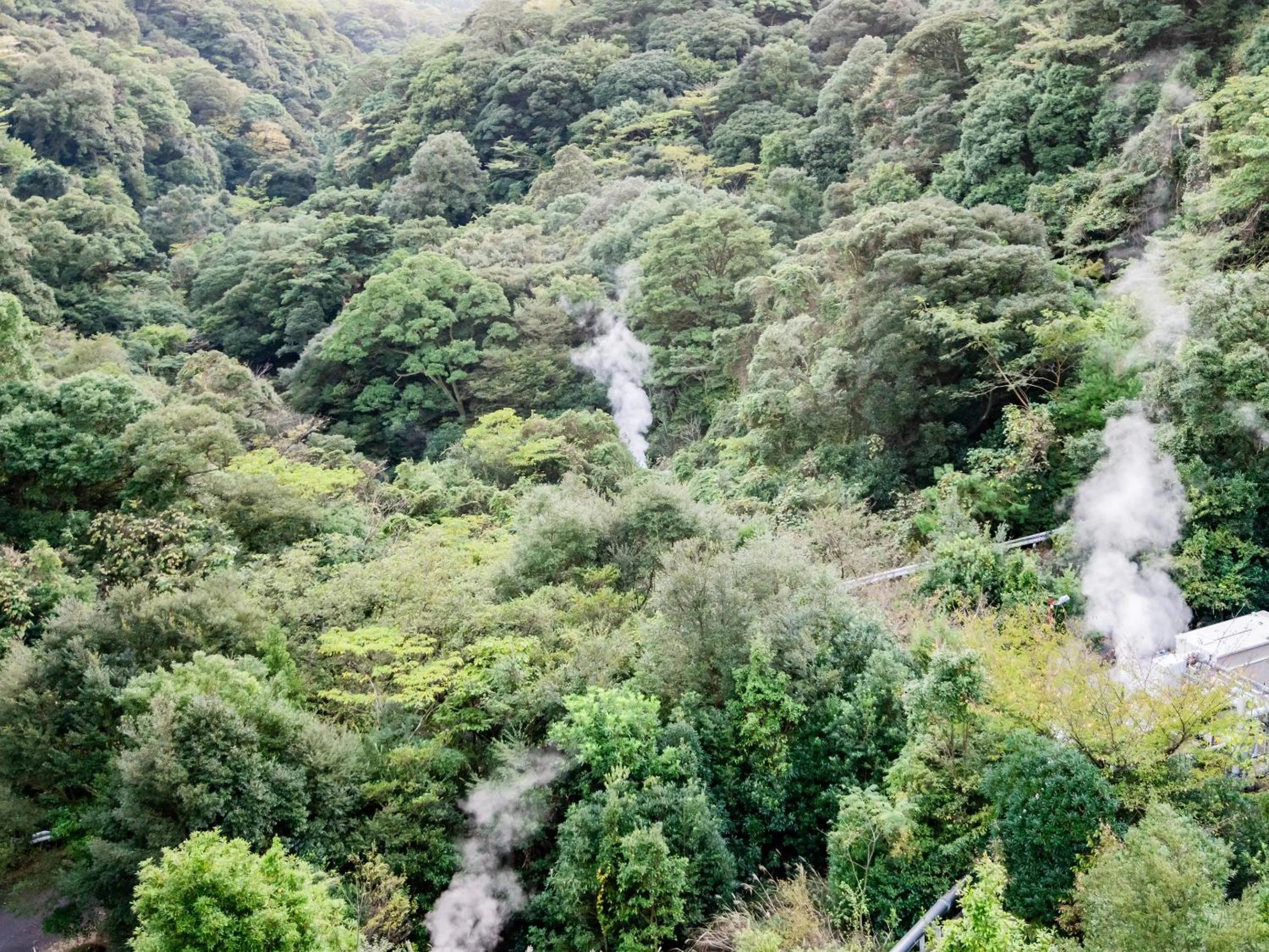 Natural landscape in Kirishima Momijidani Seiryuso