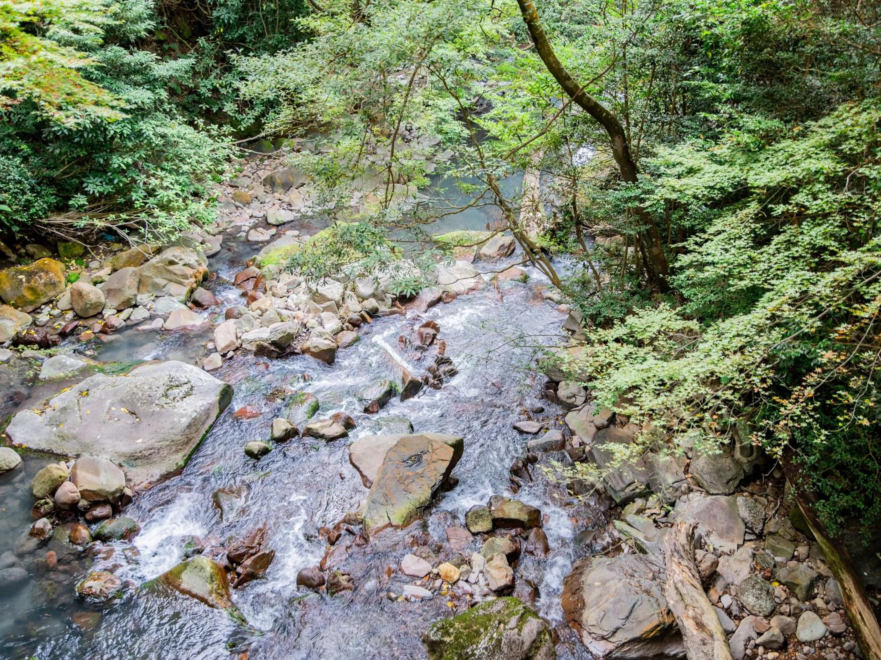 Natural landscape in Kirishima Momijidani Seiryuso