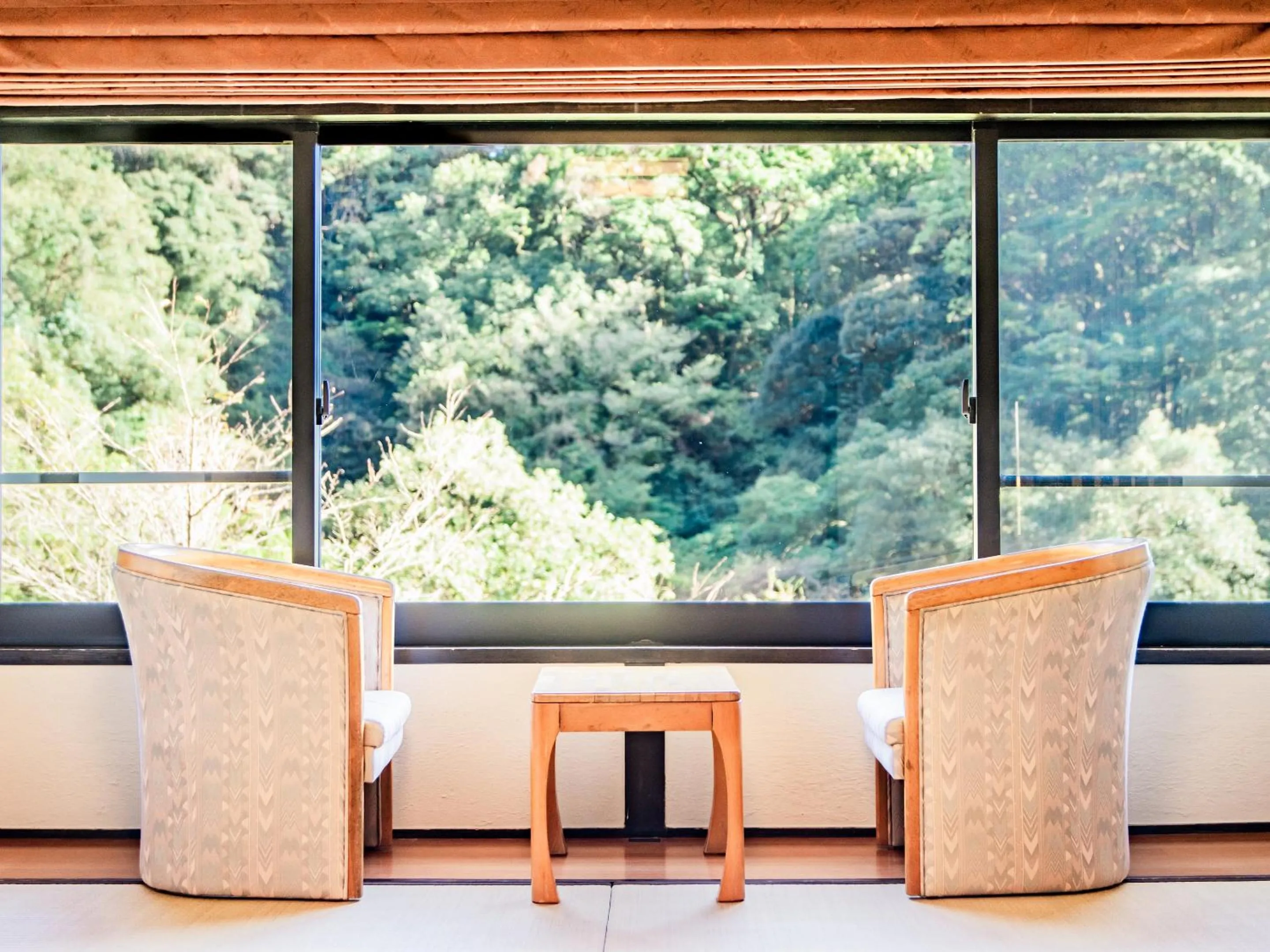 View (from property/room) in Kirishima Momijidani Seiryuso