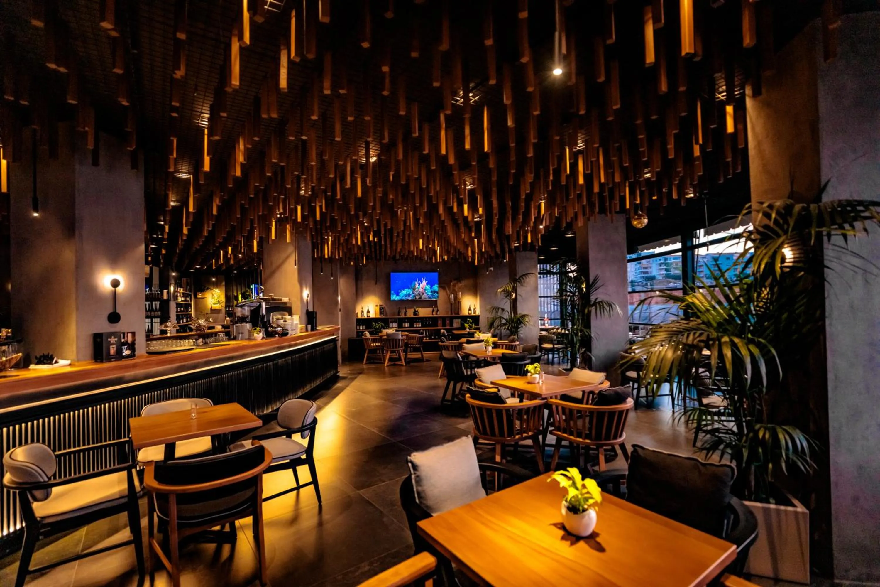 Restaurant/places to eat in Hotel Miramare