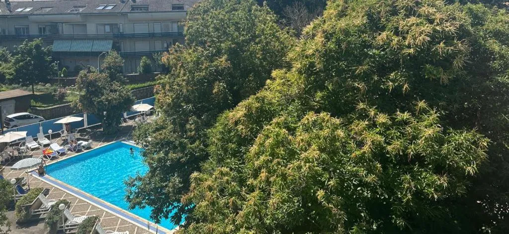 Pool view in Mondial Park Hotel