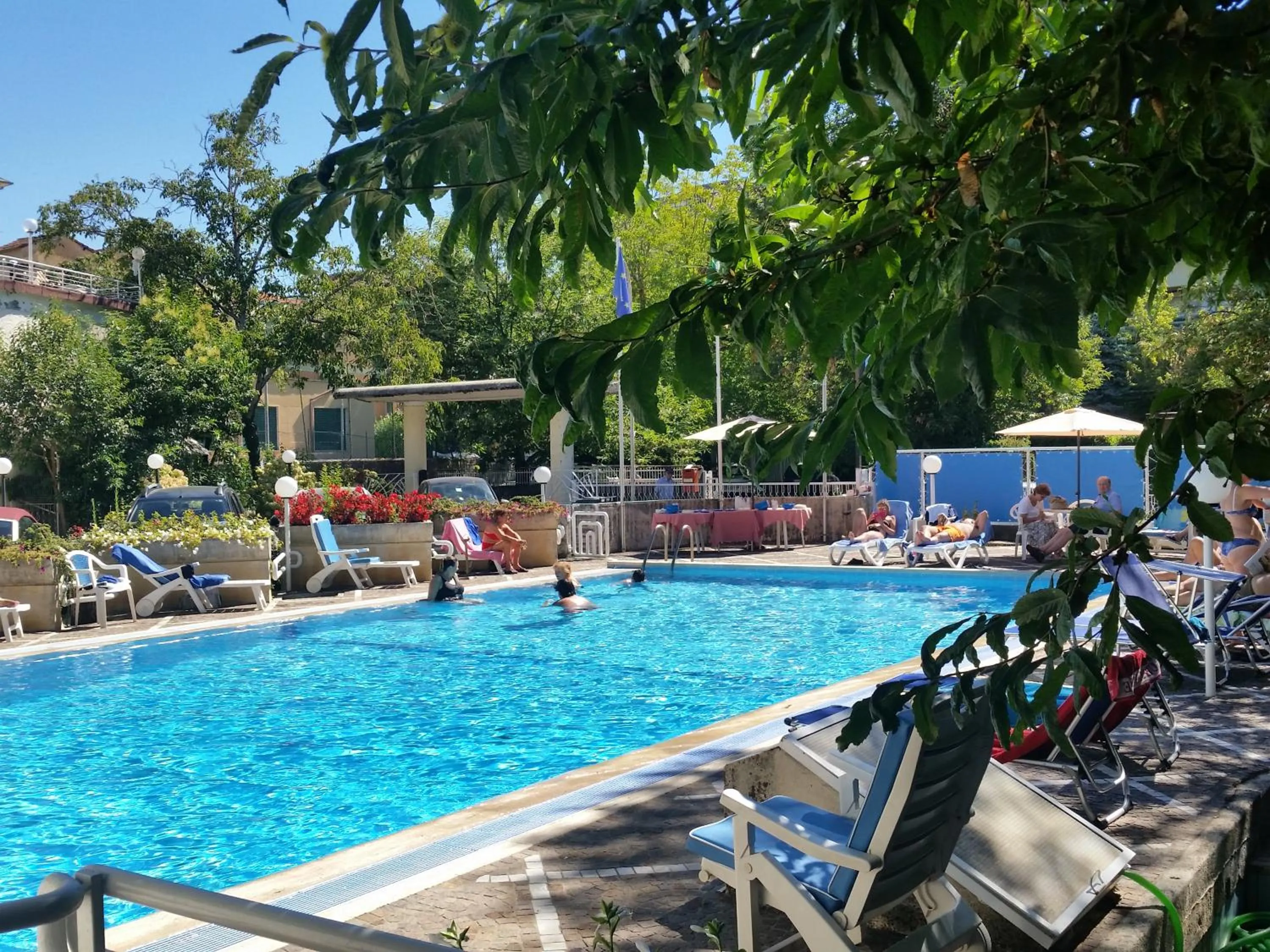 Garden in Mondial Park Hotel