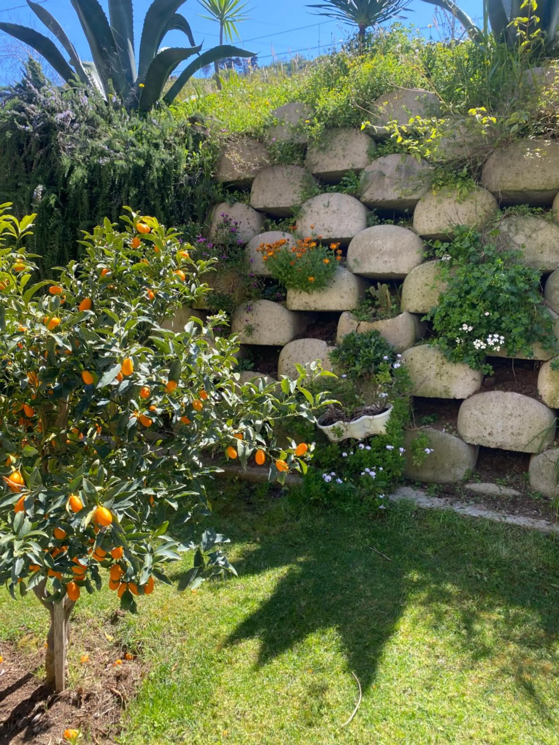 View (from property/room) in Residenza RoMa