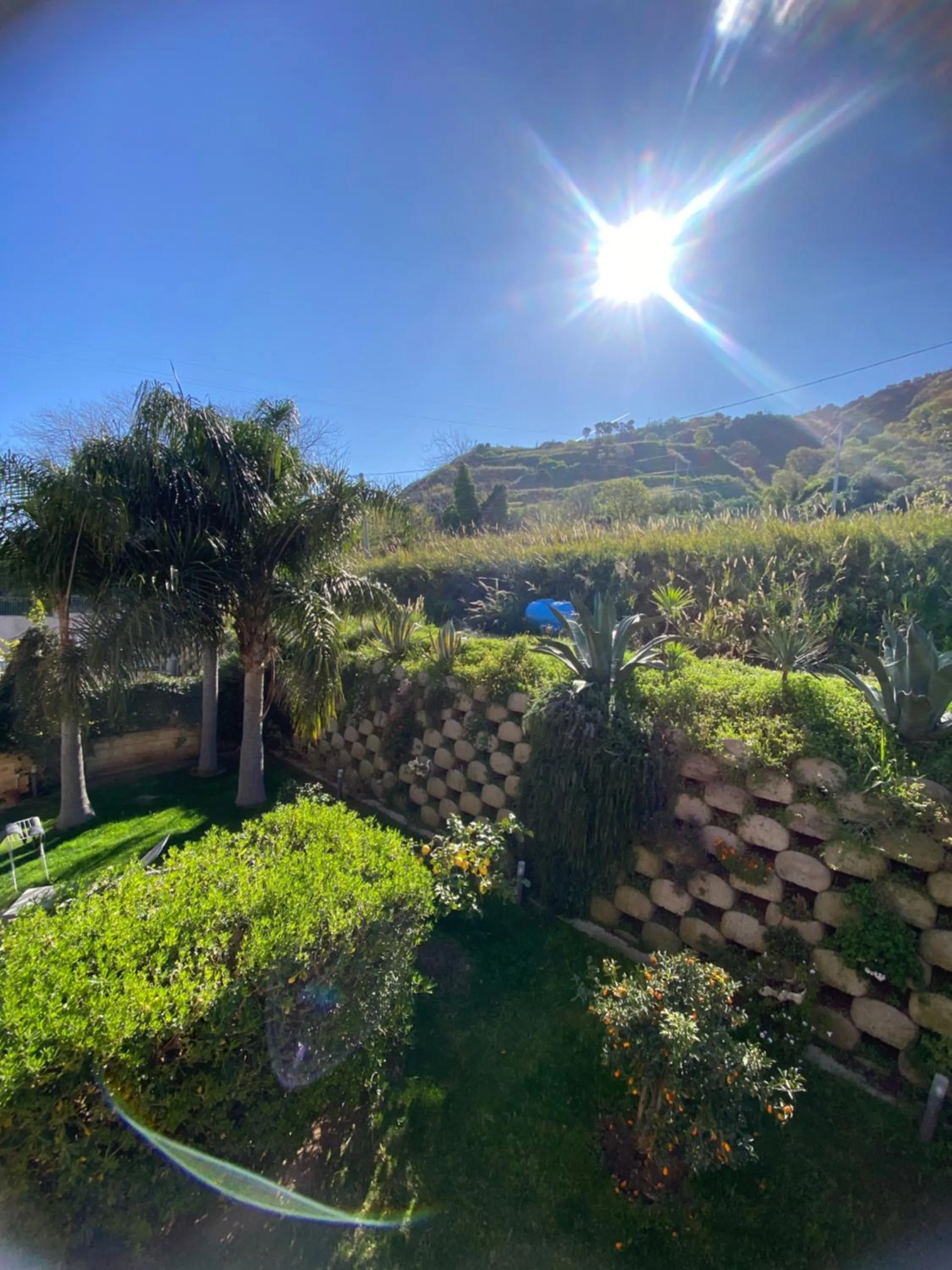 Garden in Residenza RoMa
