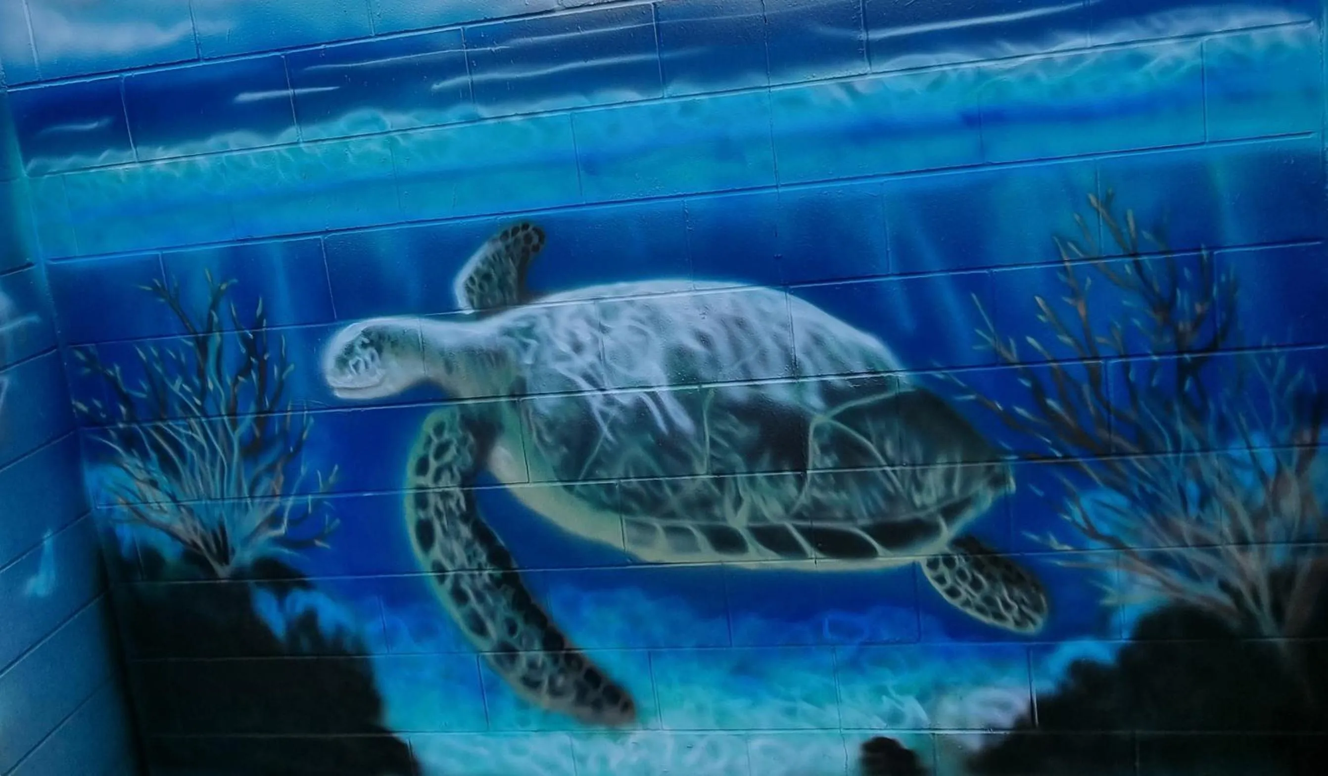 Pool view in Burdekin Motor Inn