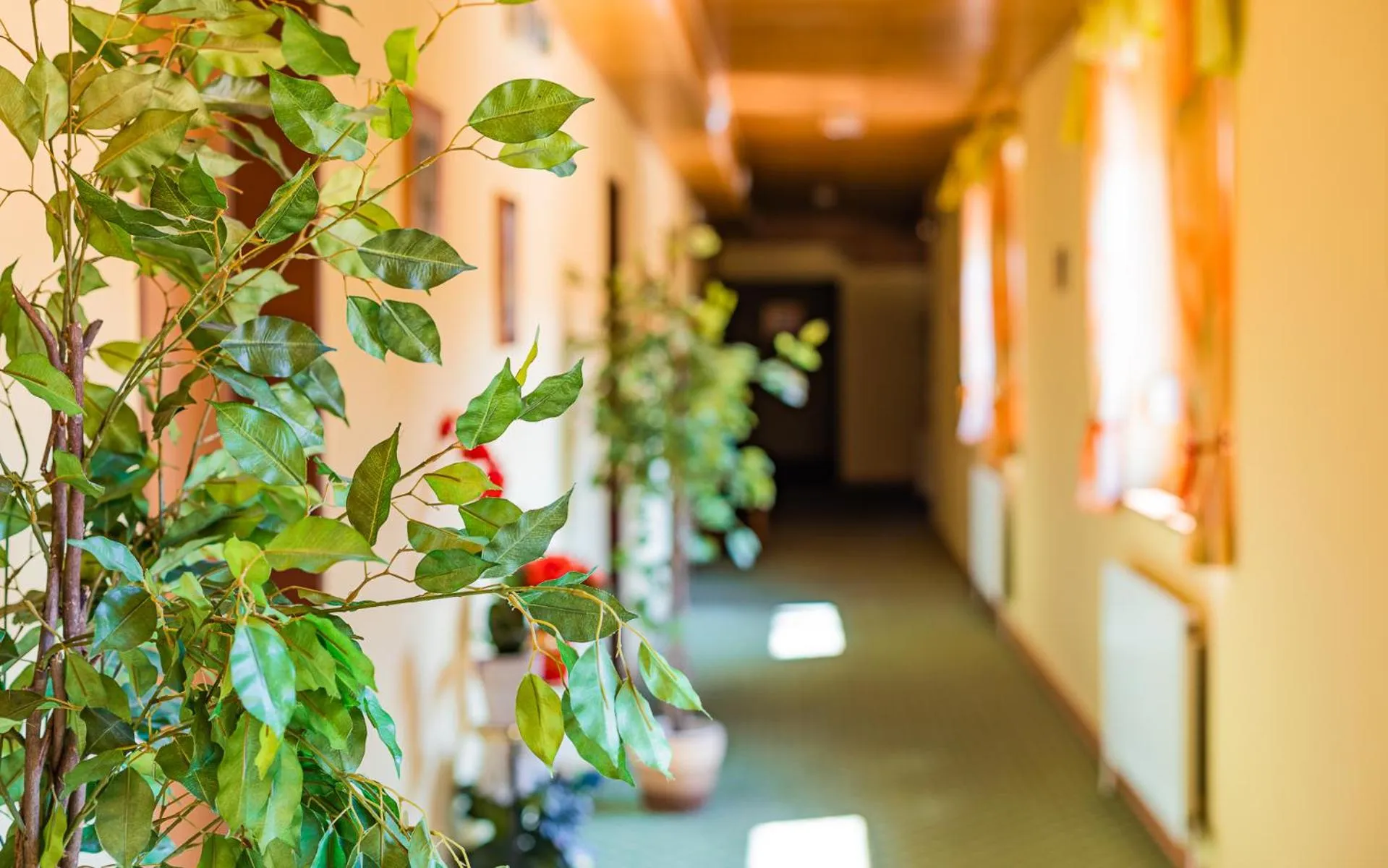 Hotel garni Steinfeld