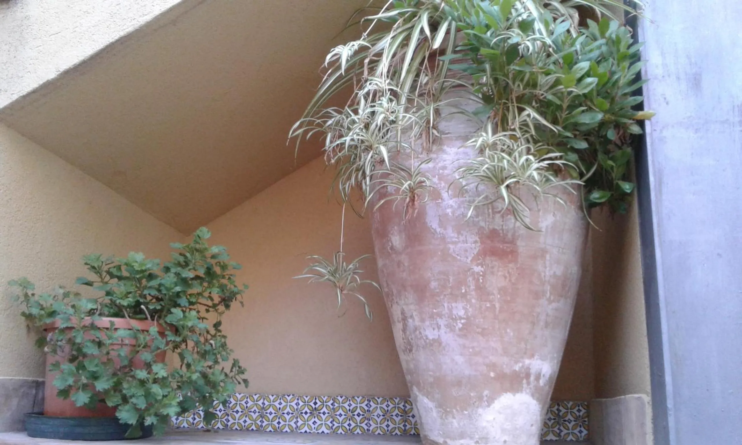 Property building in I Campanili