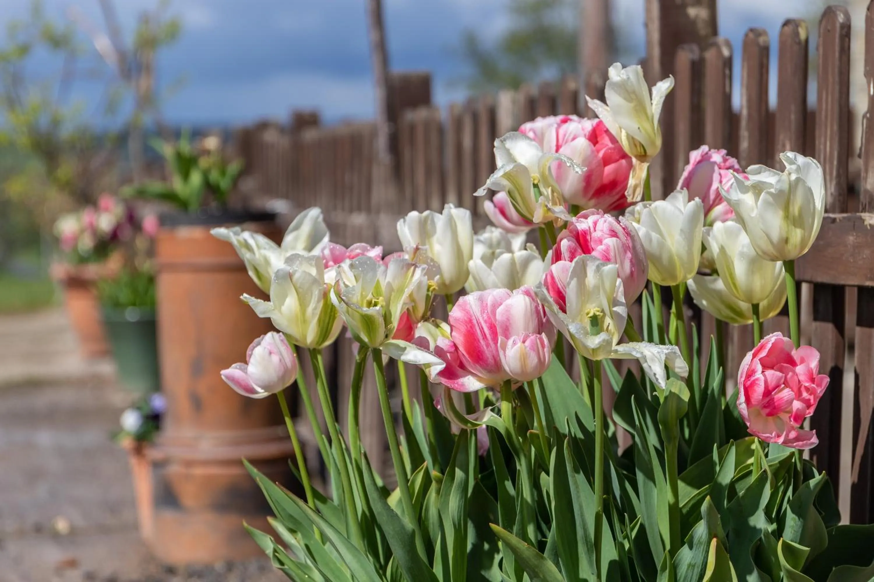 The Grainary Cottages