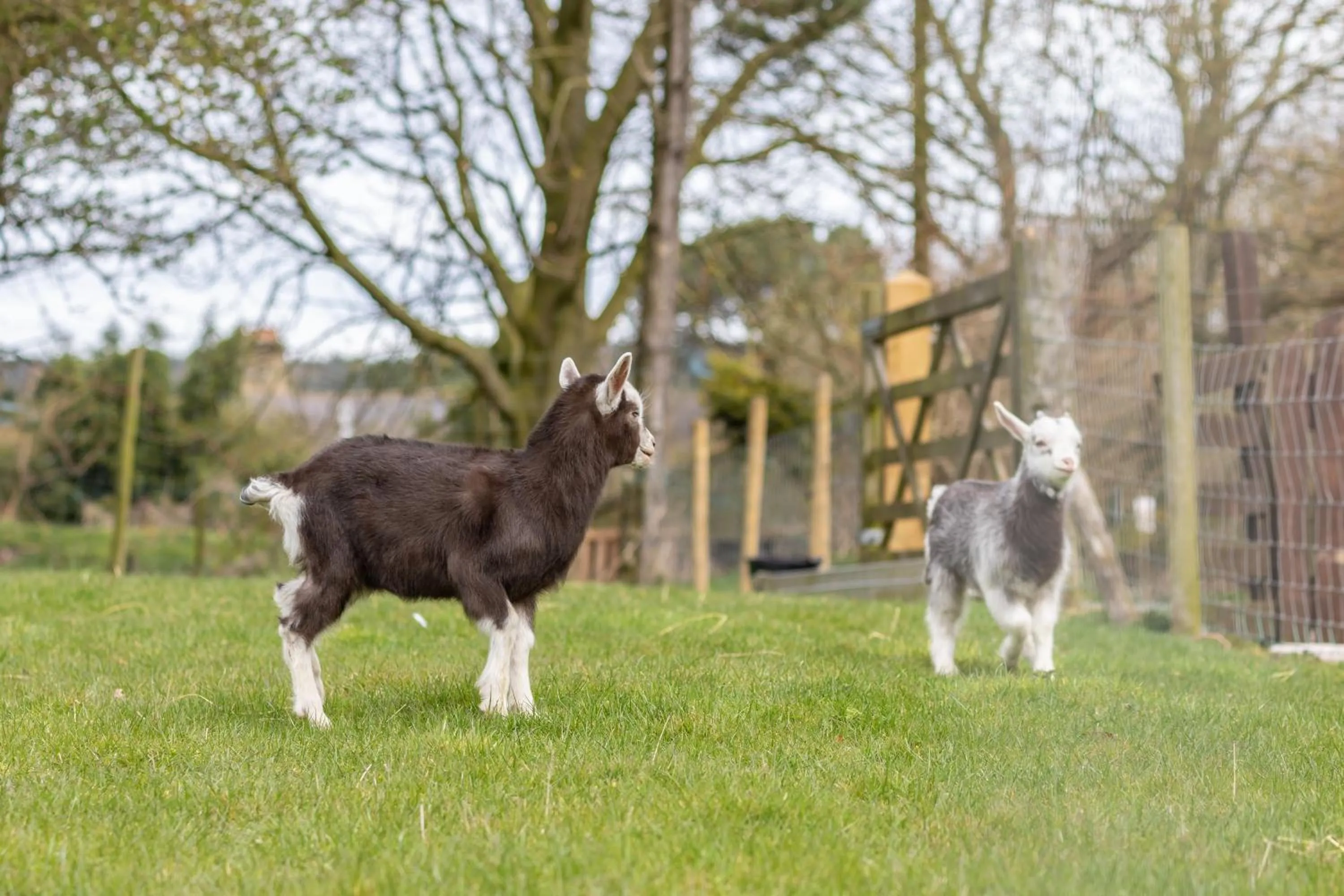 The Grainary Cottages