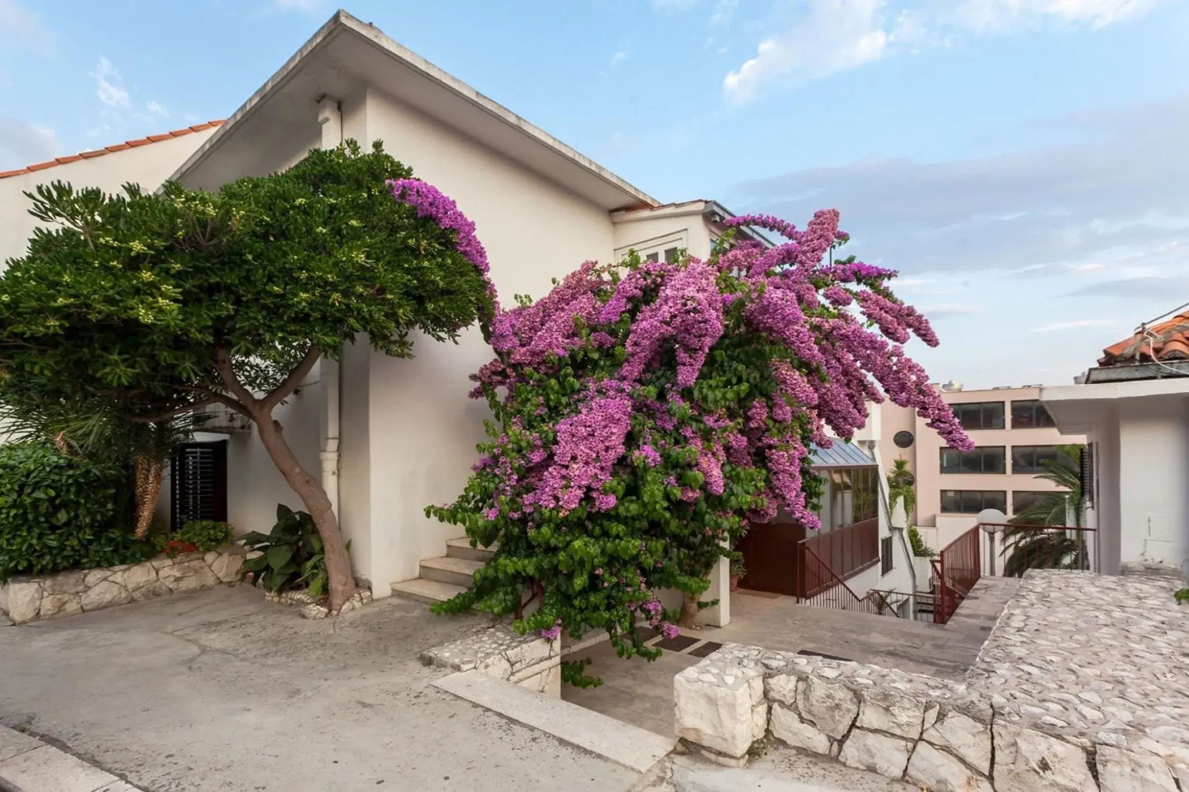 Guest House Marija in perfect location Guest House Marija in perfect location