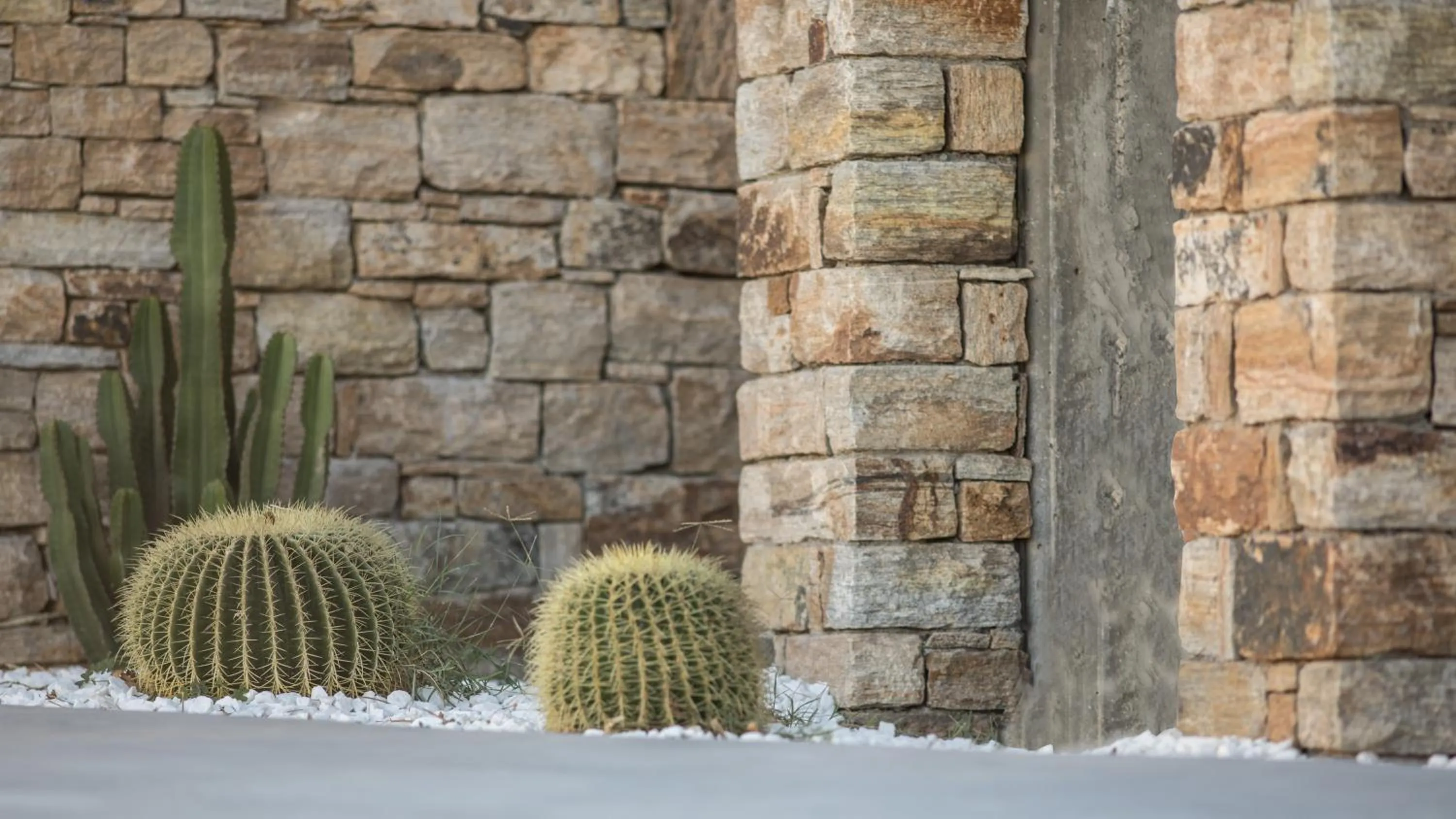 Garden in Naxos Euphoria Suites