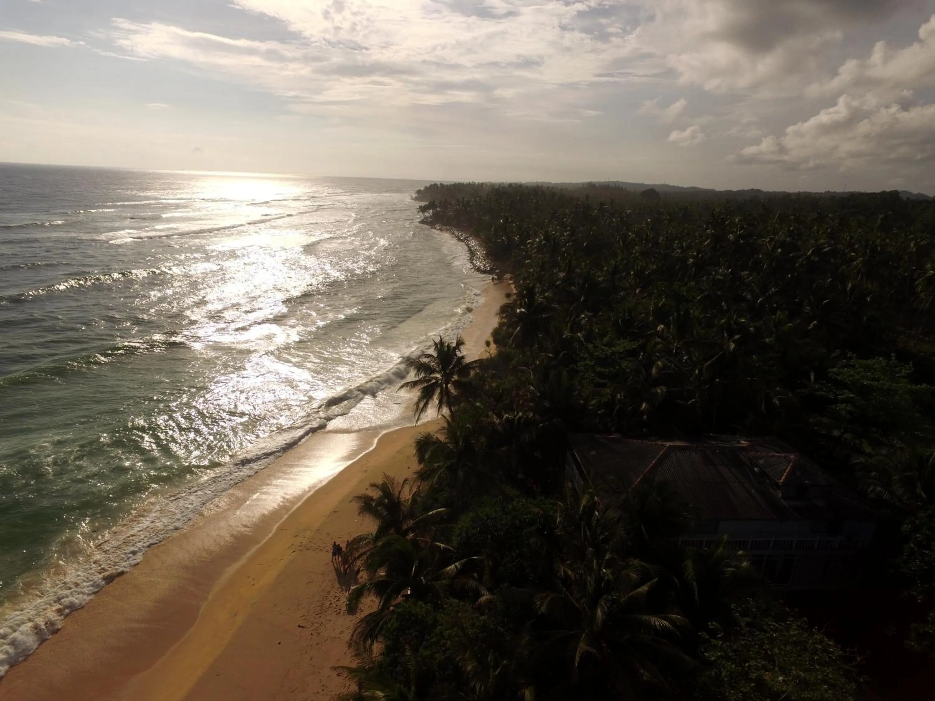 Beach in King Coconut Lodge
