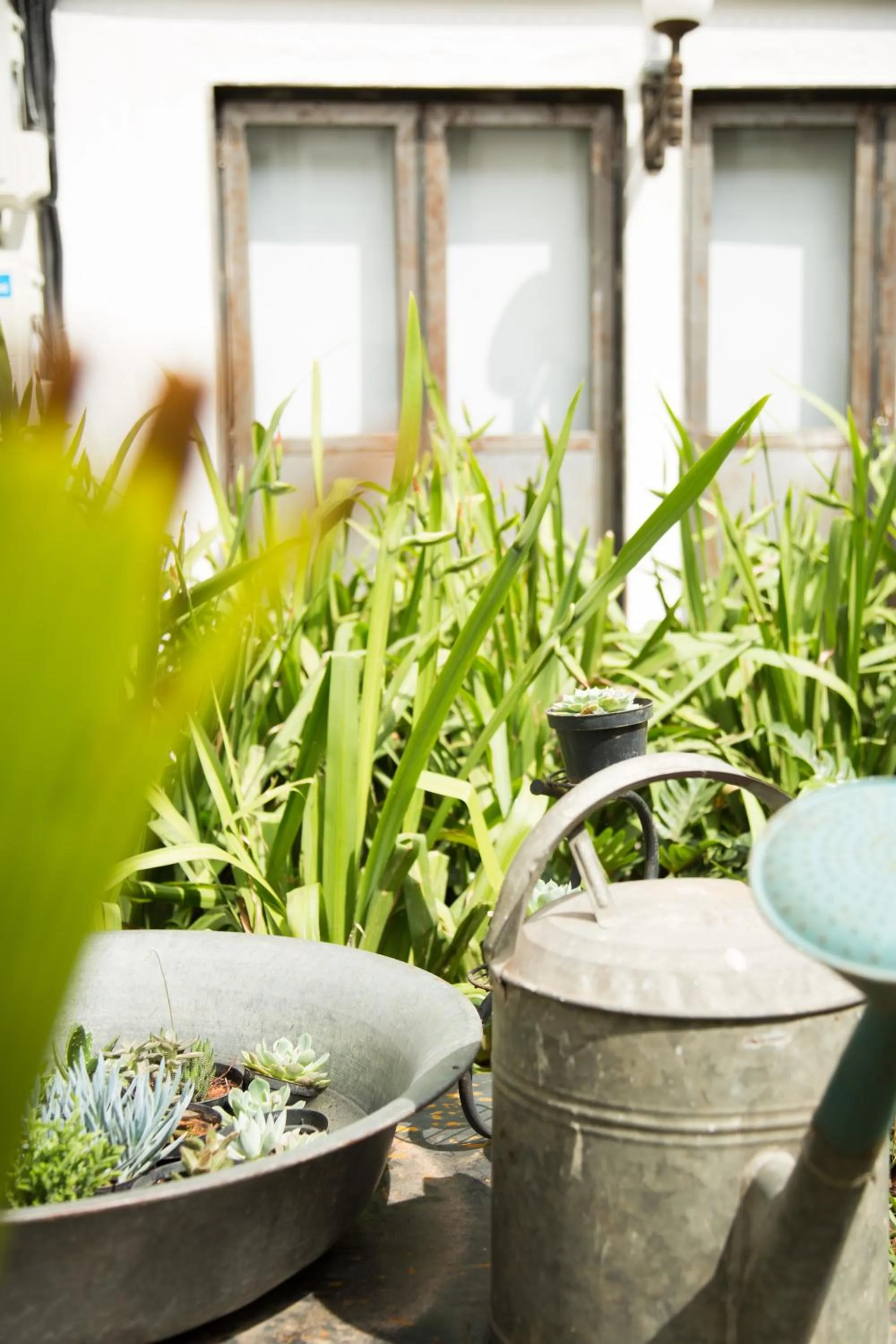 Garden in Guest Urban Hotel Design Pinheiros