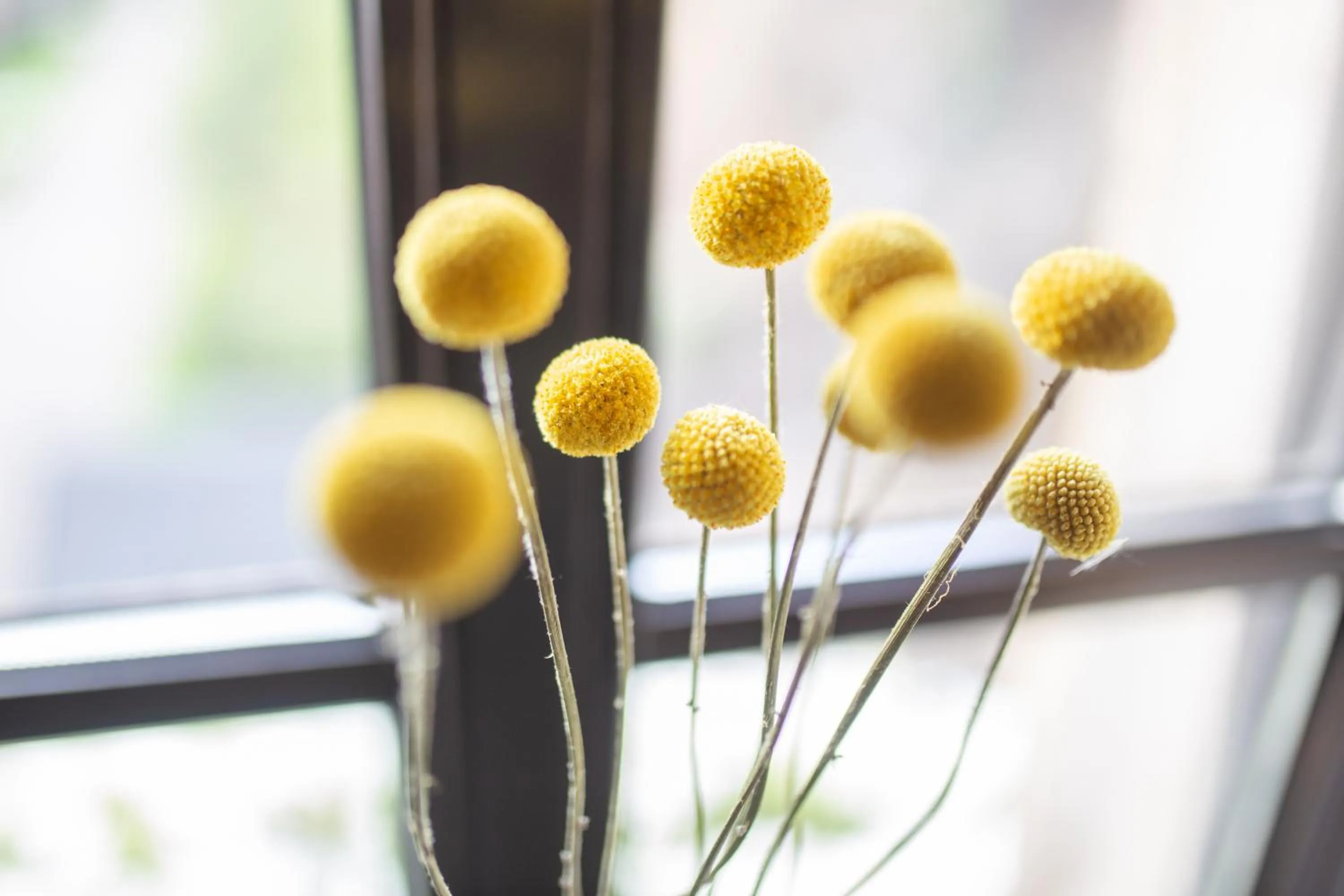 Photo of the whole room in Burg Reichenstein