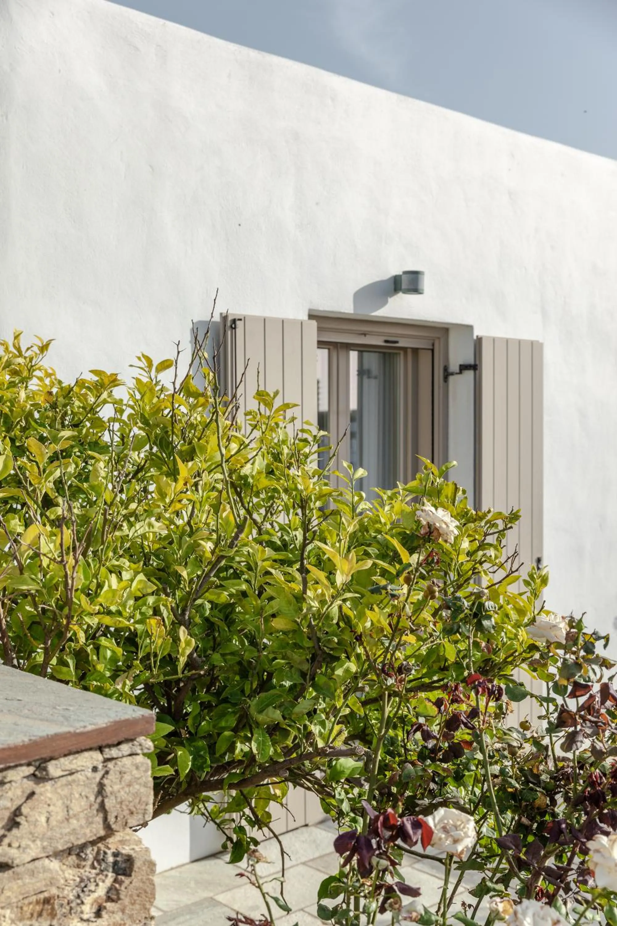 White Tinos Luxury Suites