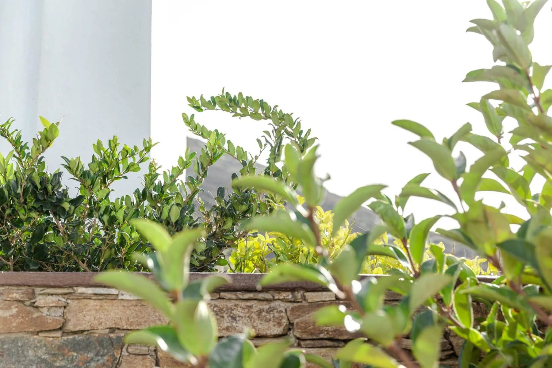 White Tinos Luxury Suites