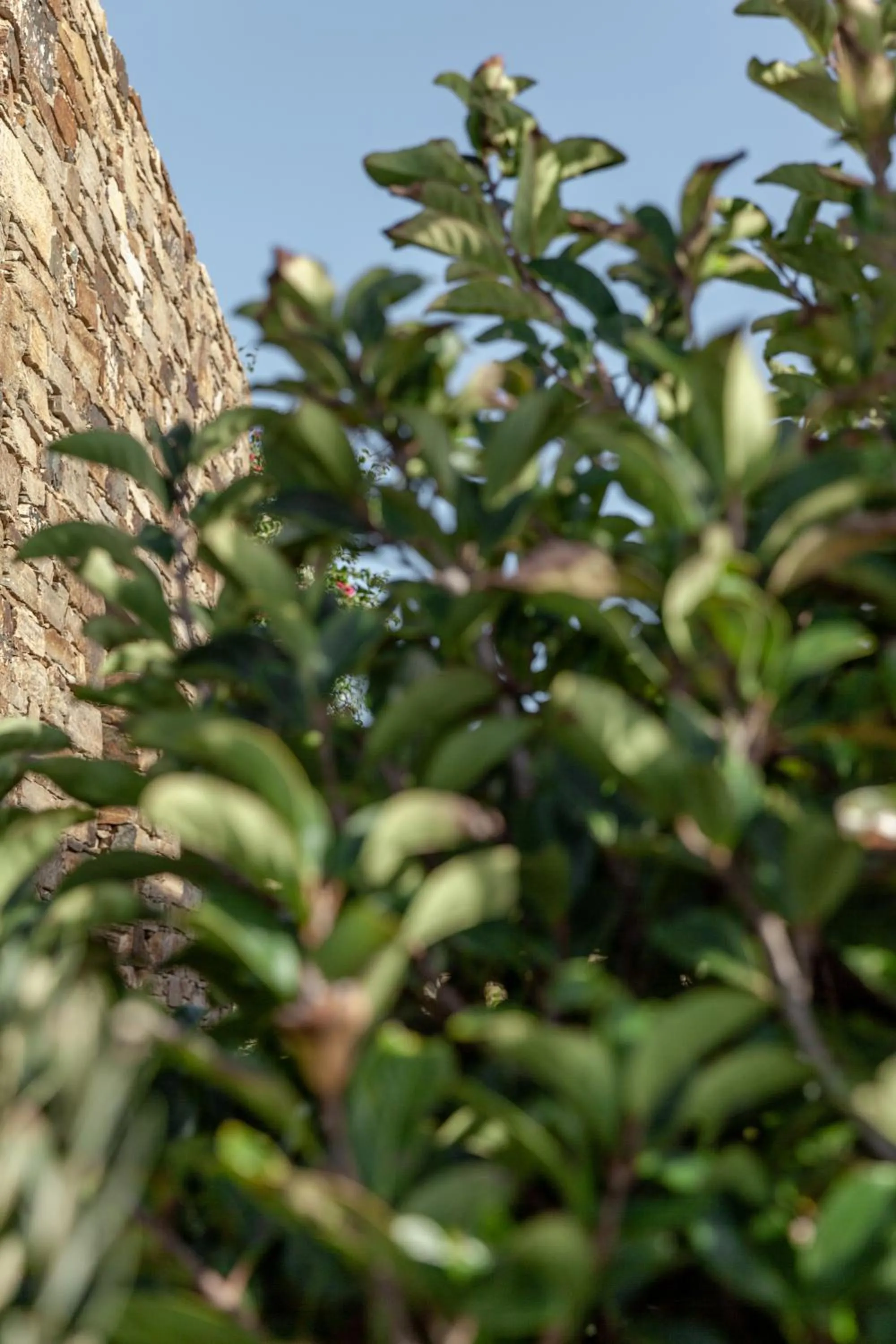 White Tinos Luxury Suites