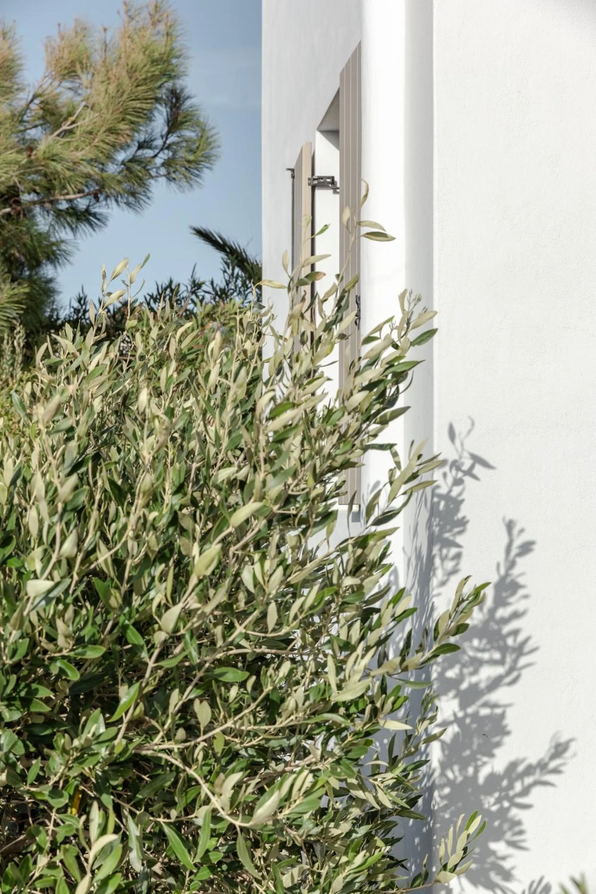 White Tinos Luxury Suites