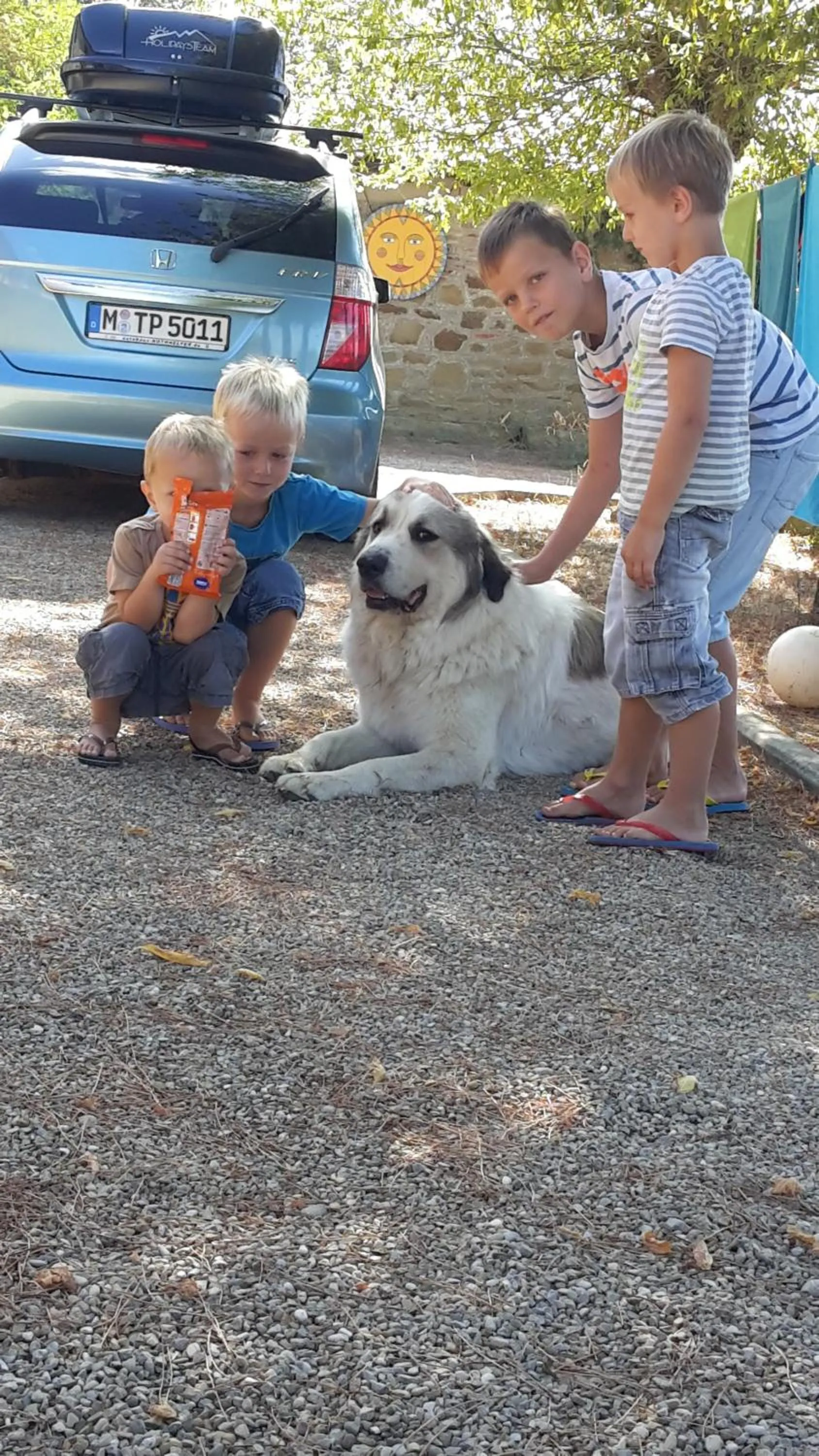 Other in Artenatura BeB