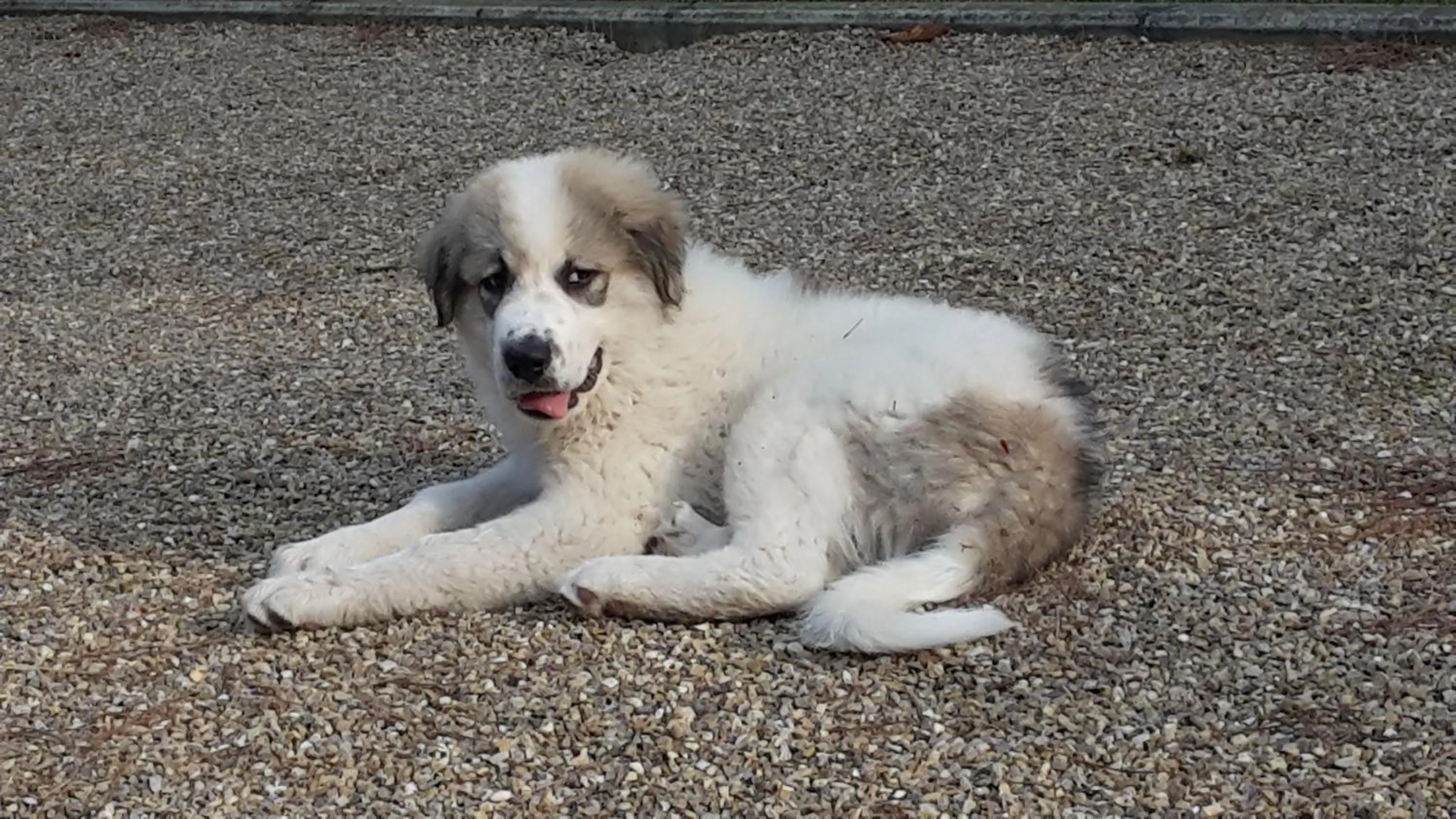 Patio in Artenatura BeB