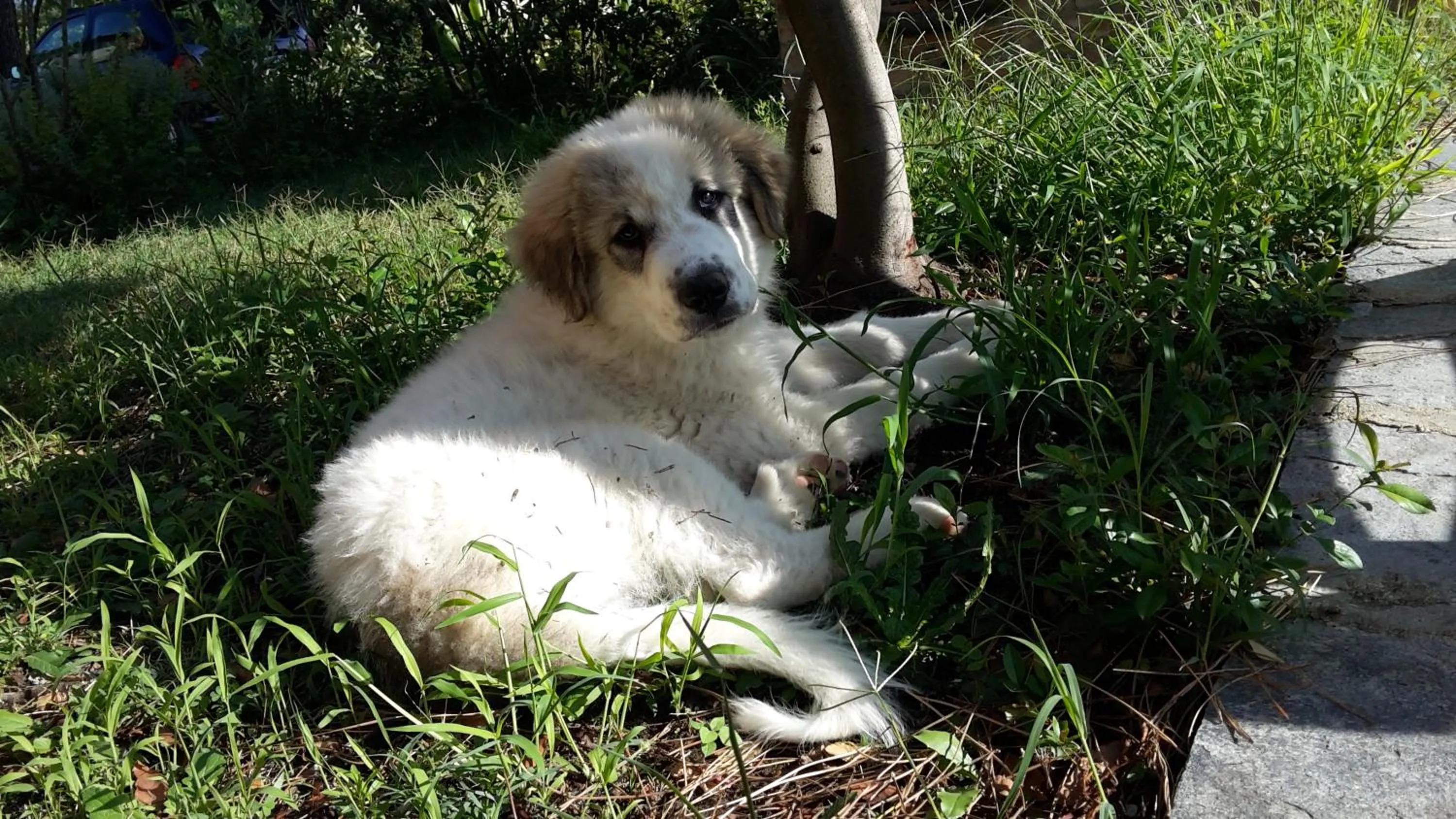 Garden in Artenatura BeB