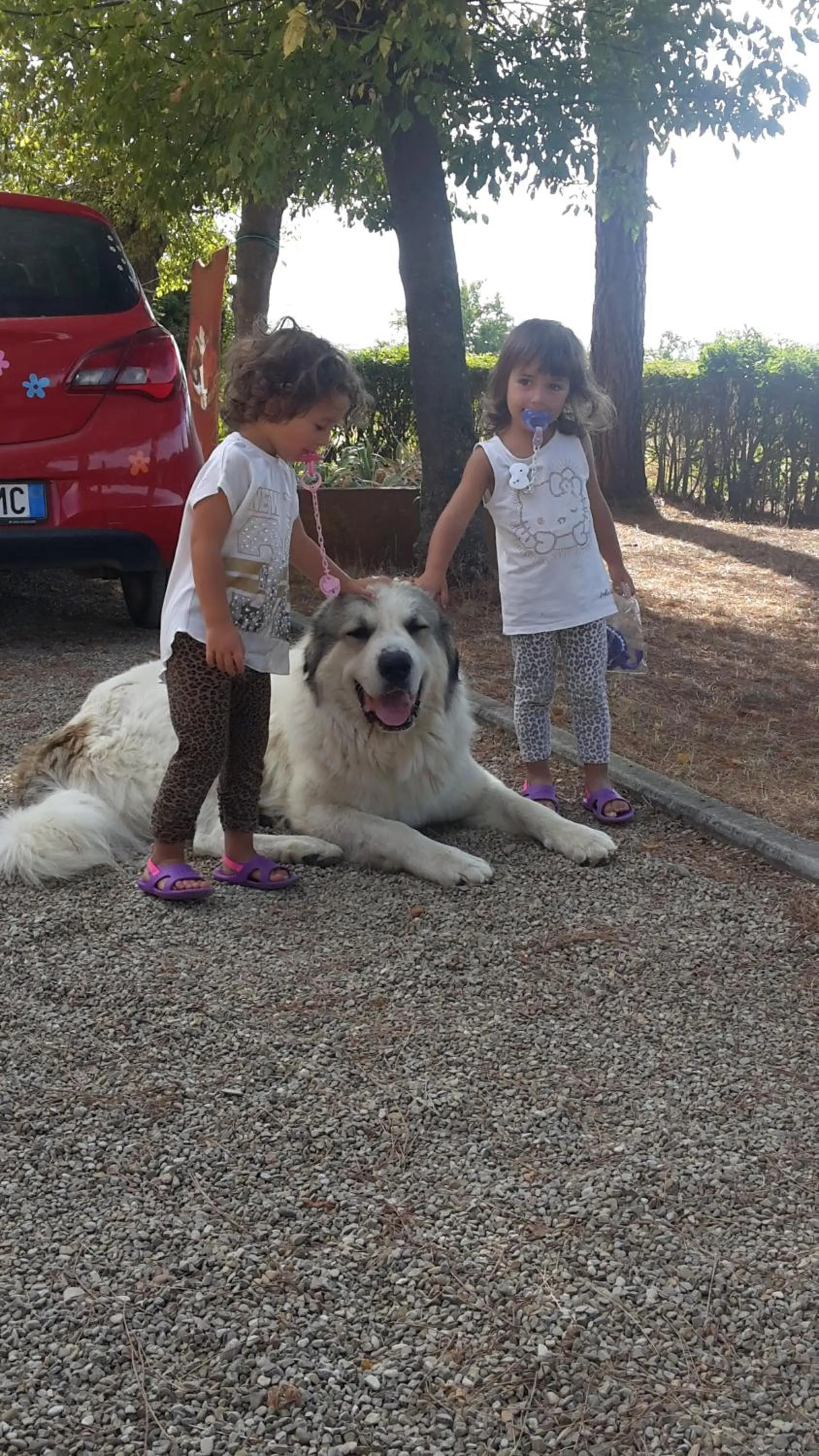 Other in Artenatura BeB