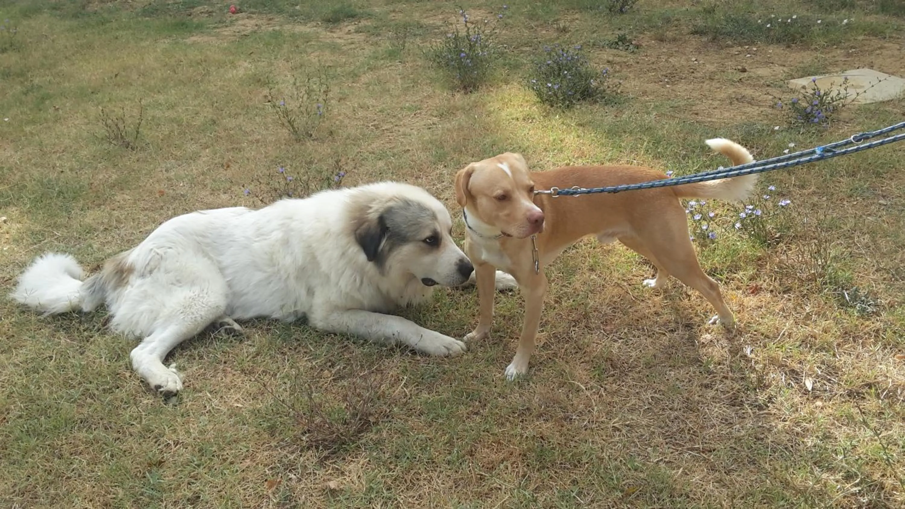 Other in Artenatura BeB