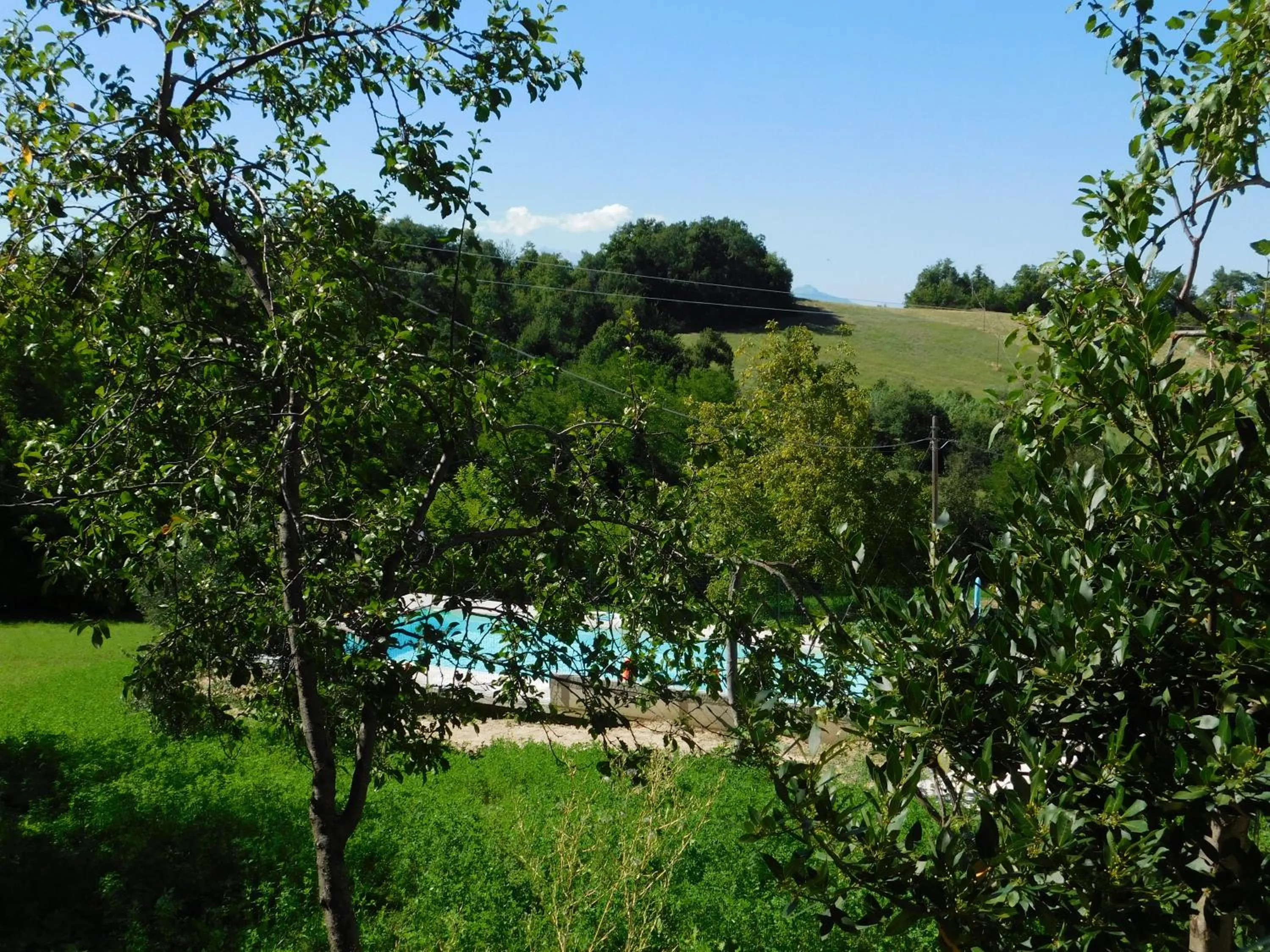 Pool view in B&B Masseria Majella