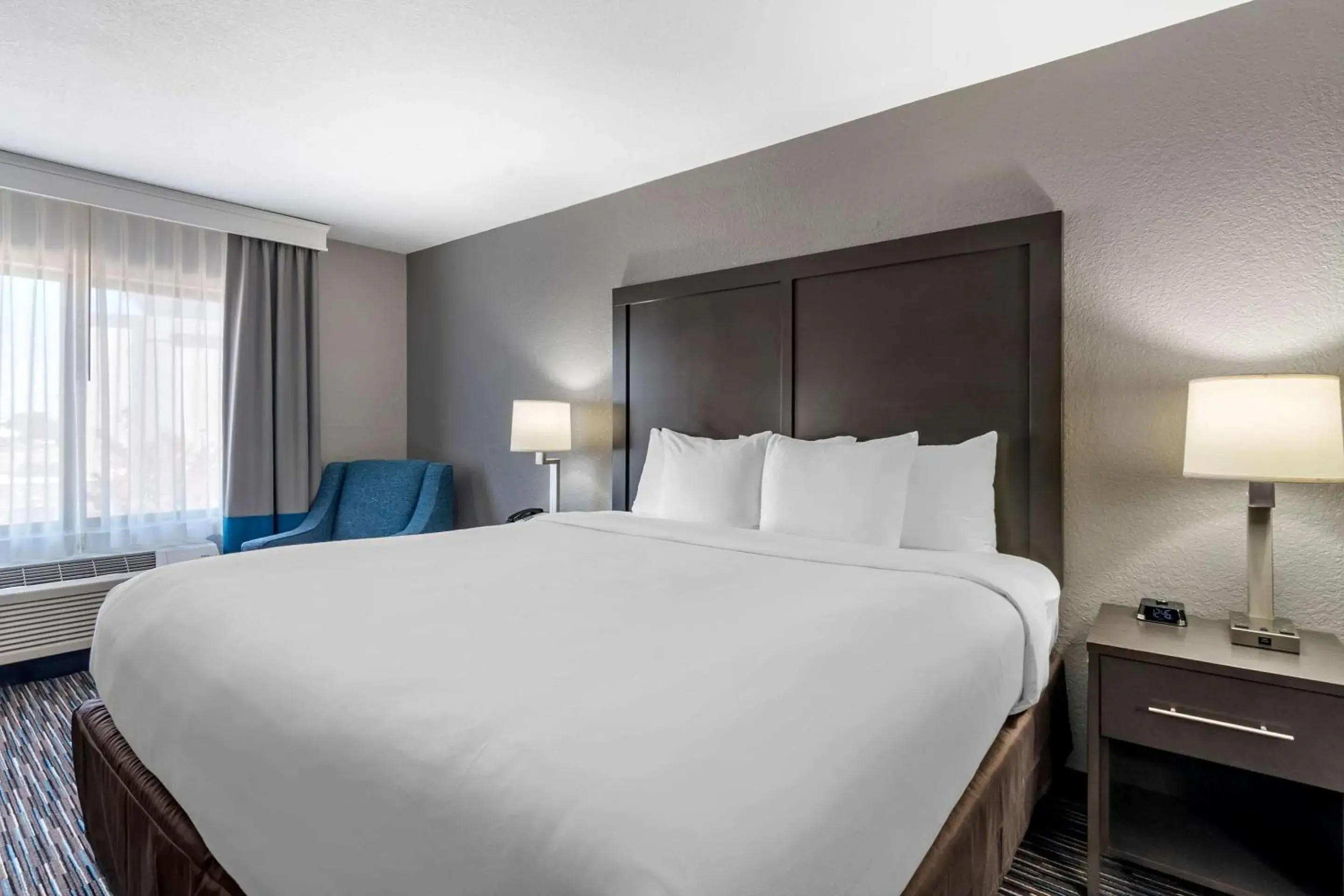 King Room - Non-Smoking in Comfort Inn & Suites Emporia King Room - Non-Smoking in Comfort Inn & Suites Emporia