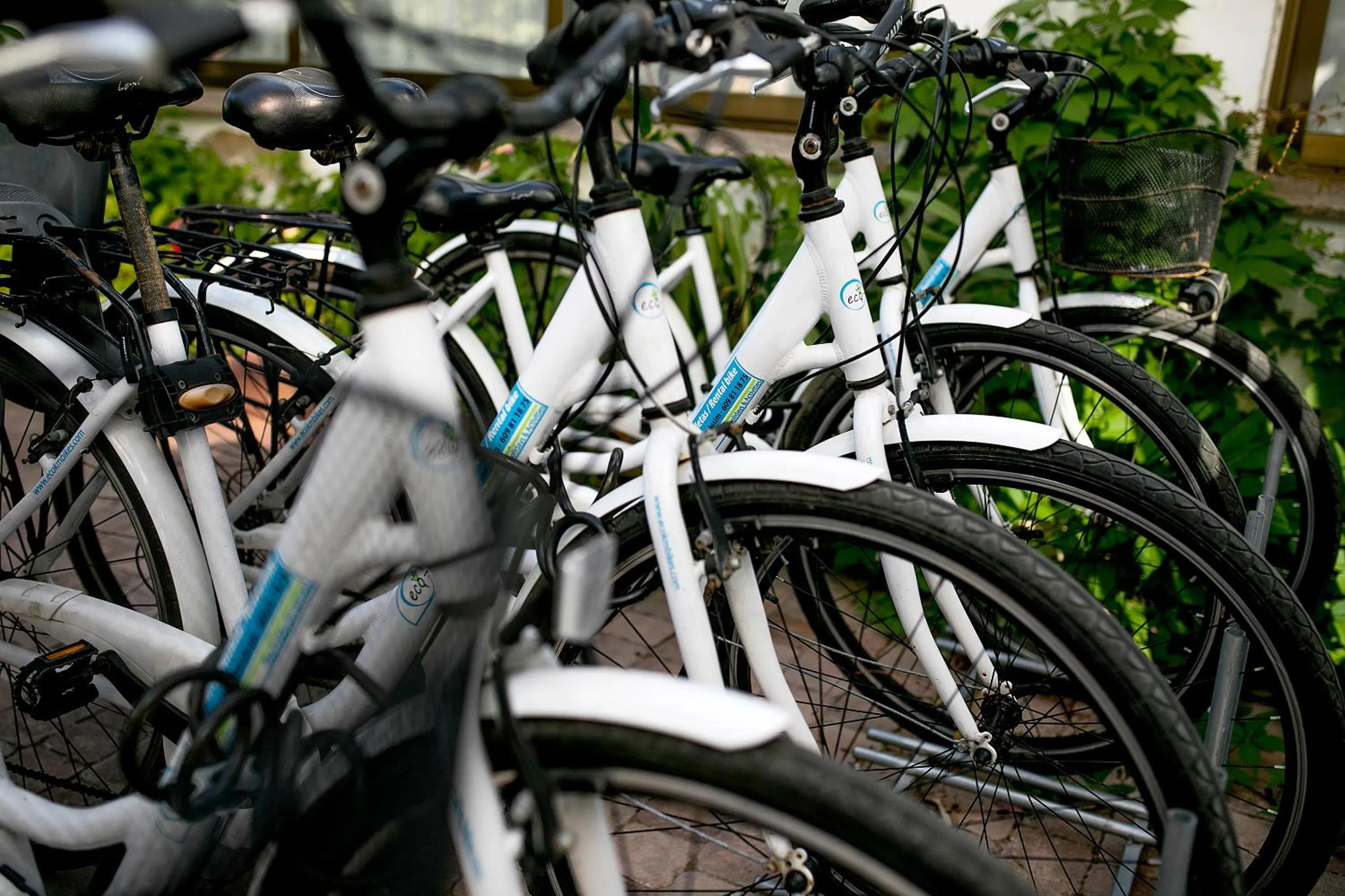 Activities in Hotel Bersoca